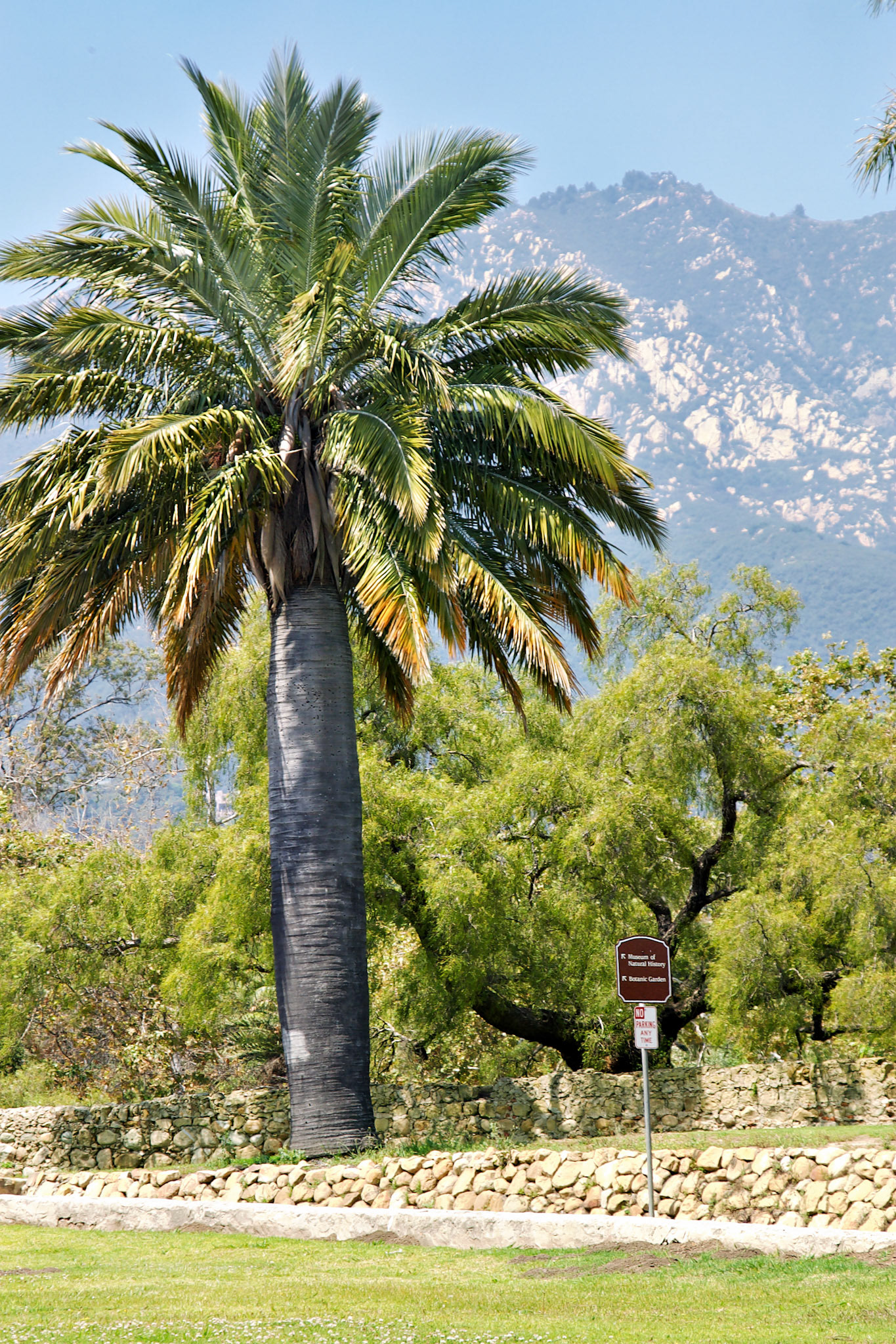 CA_LA_20030515_0079_PS