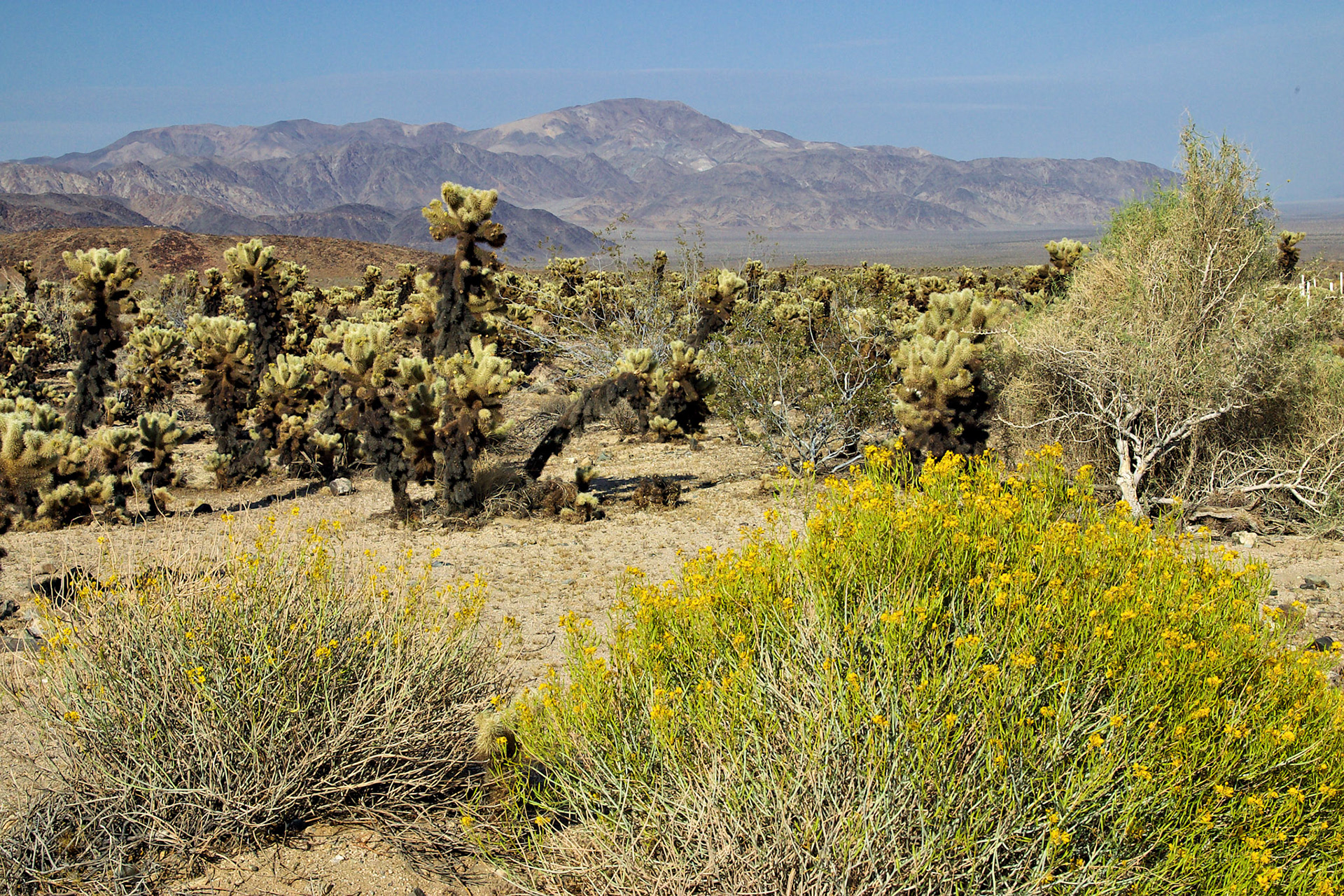 CA_LA_20030514_0076_PS
