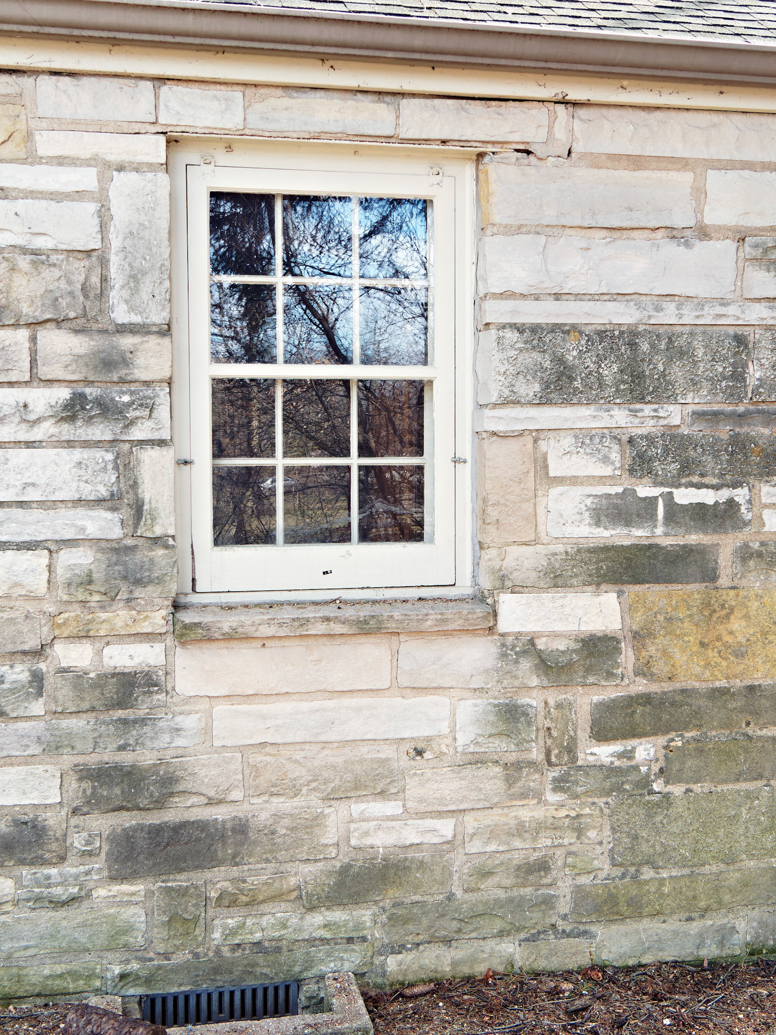 IL_Morton Arboretum_20150331_0645_PS
