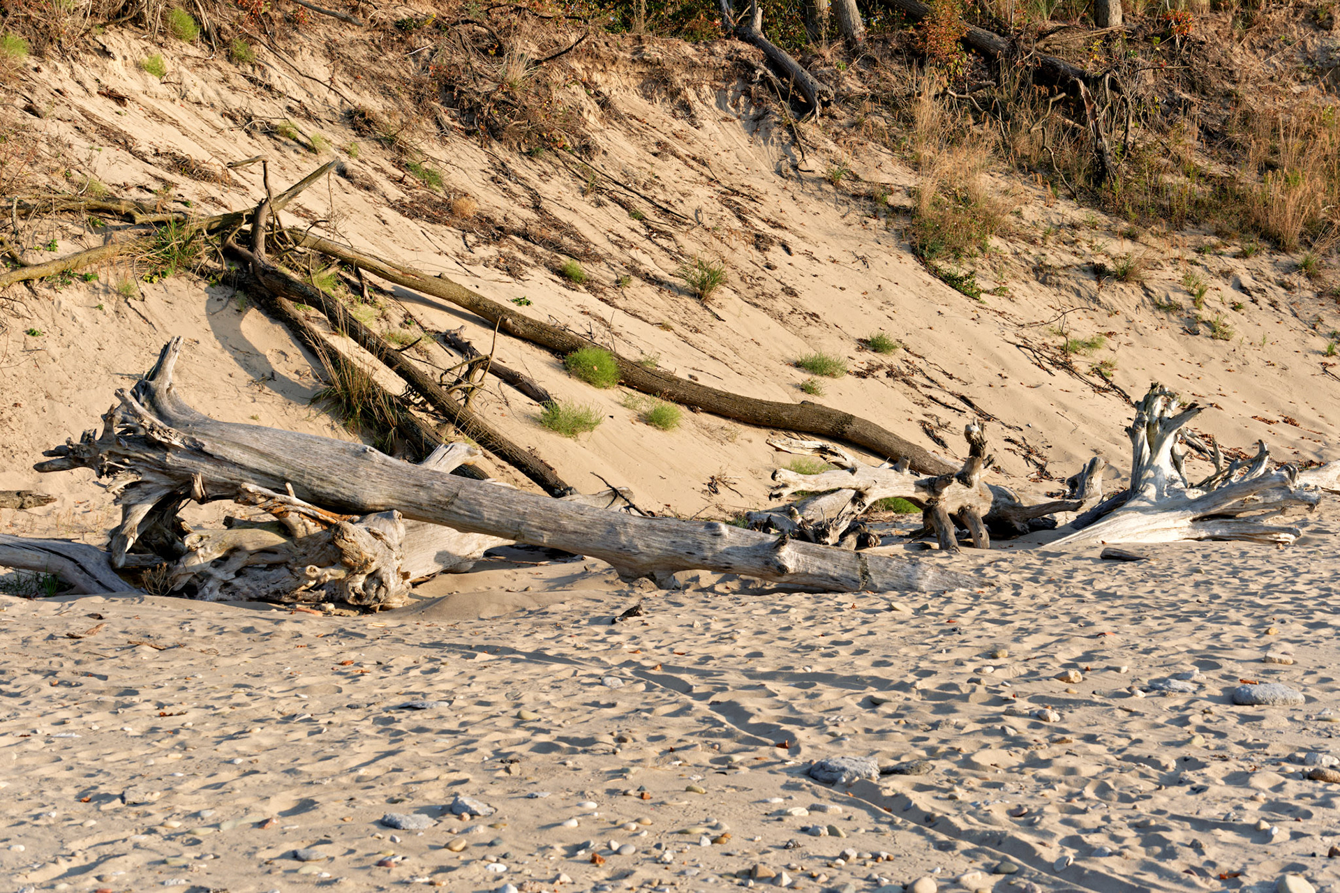 MI_Dunes__FXT1440