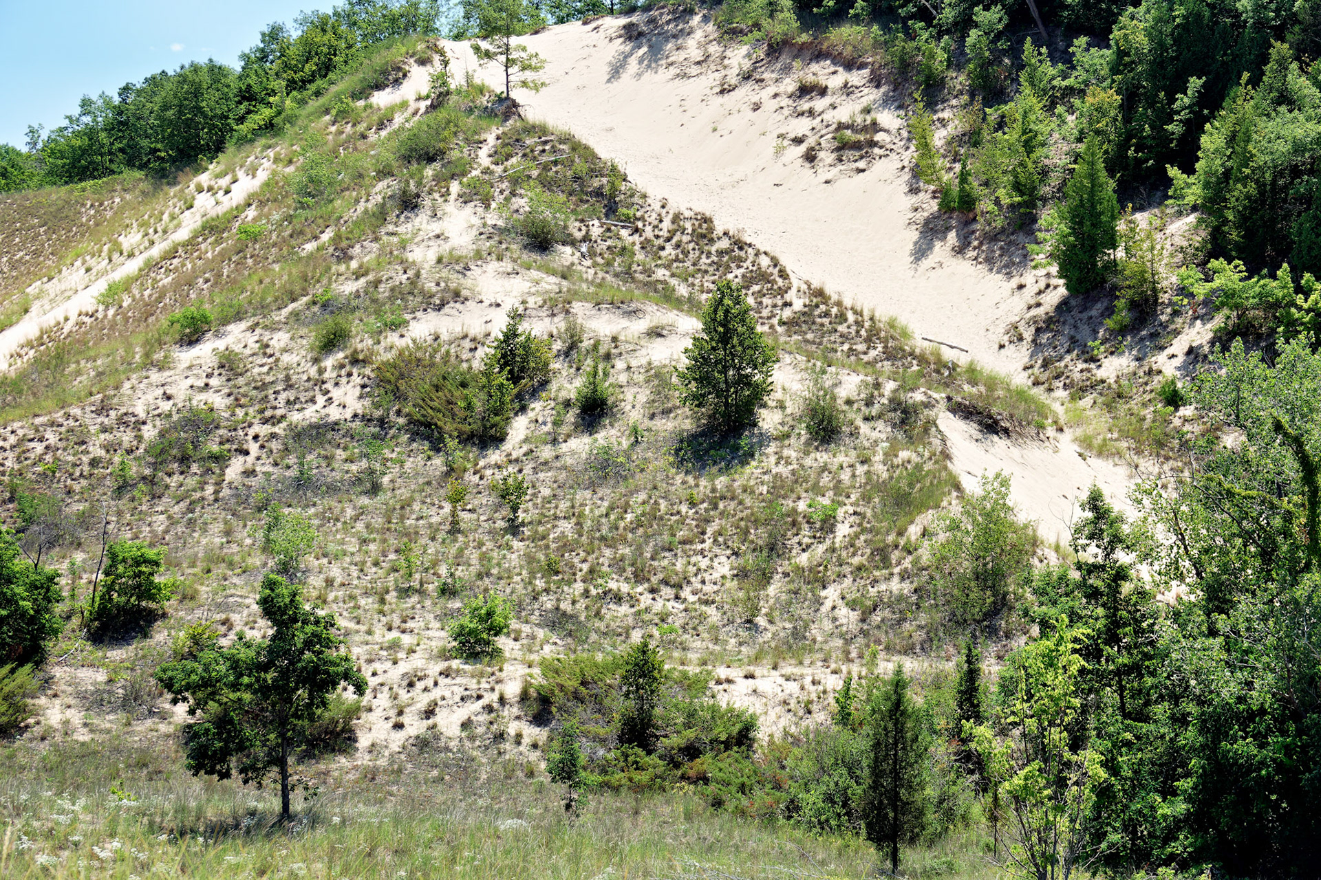 MI_New BuffaloArea_20160808_0155_PS