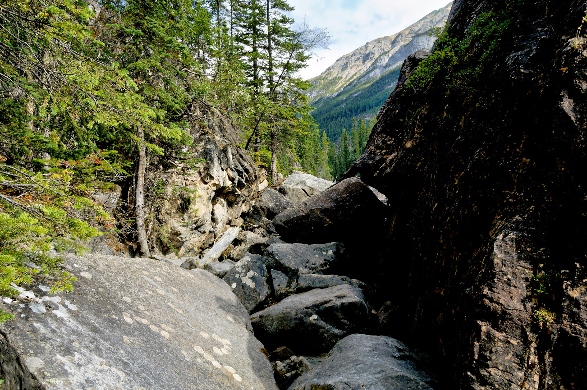 CN_20060803_0315_PS