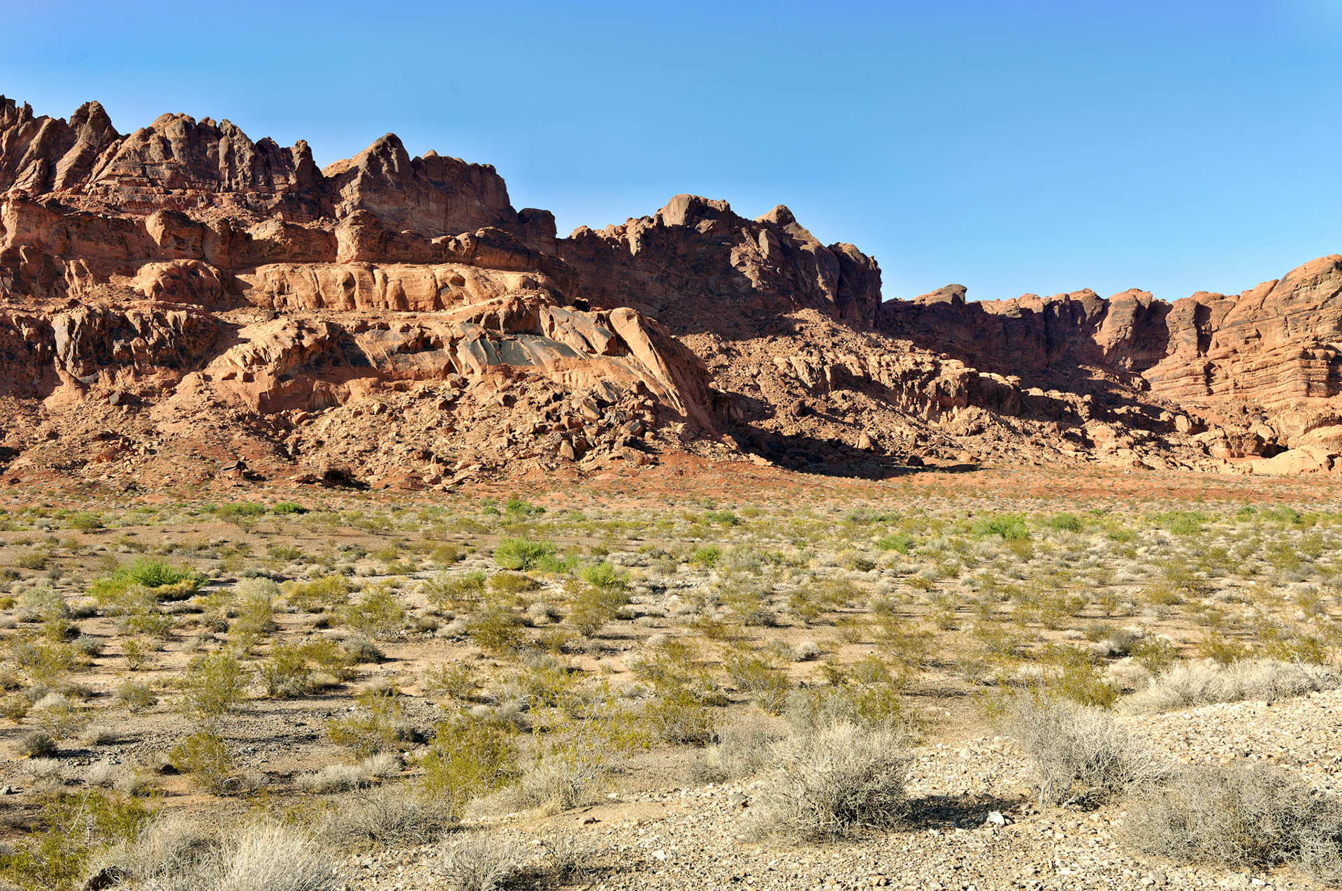 NV_20070531_0166_PS