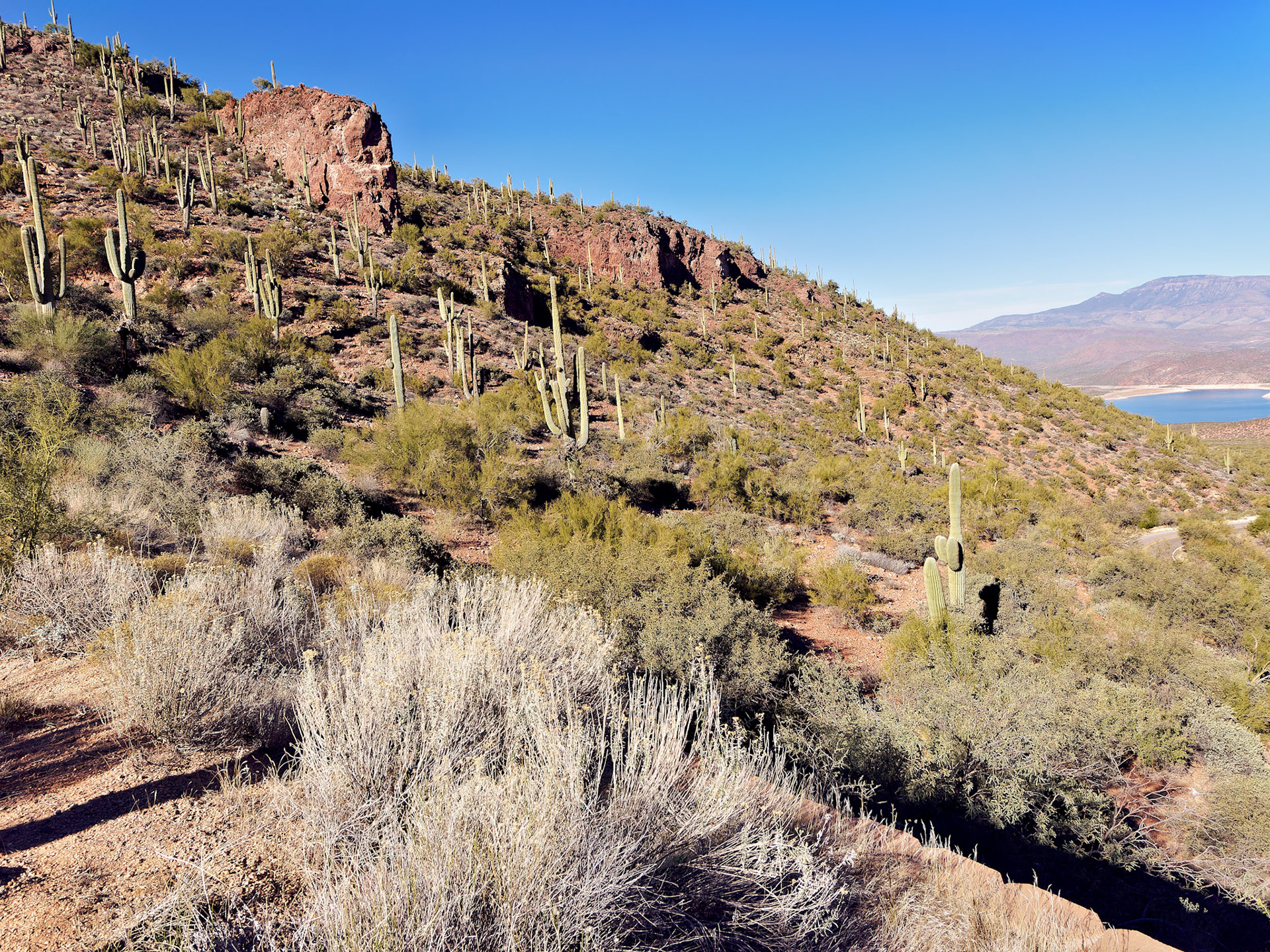 AZ_20121210_0705_PS