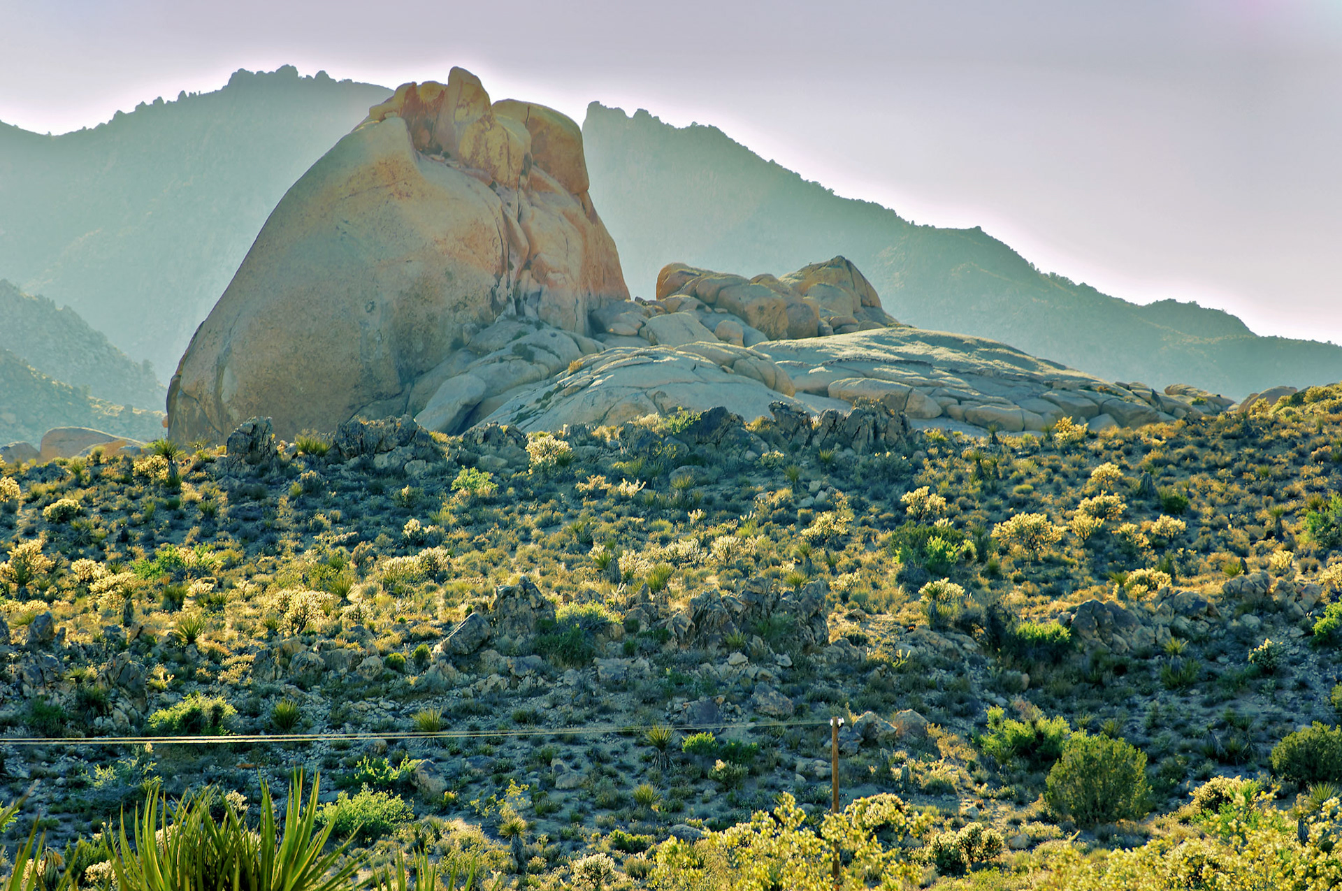 CA_20050614_0192_PS