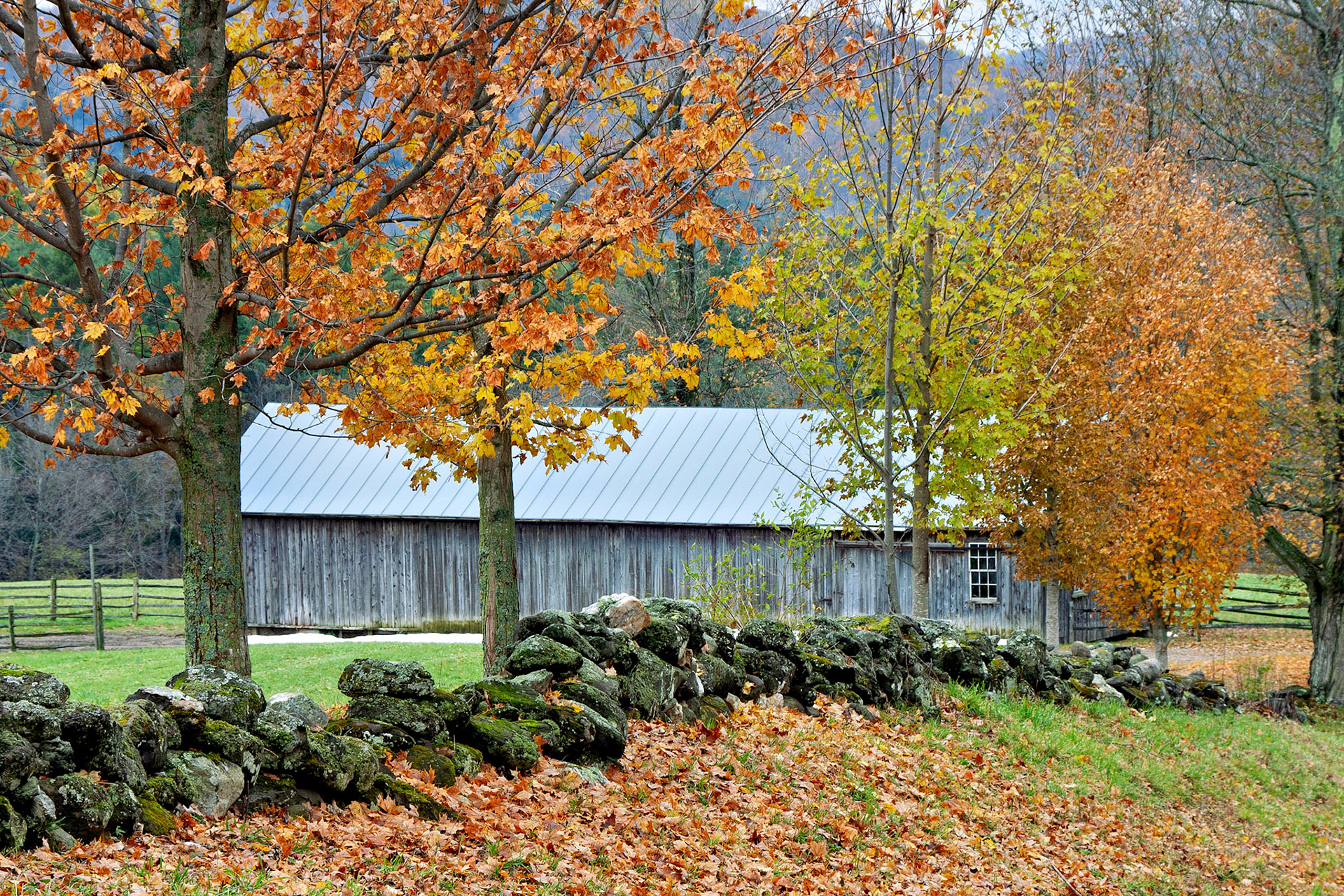 VT_20021028_0027_PS
