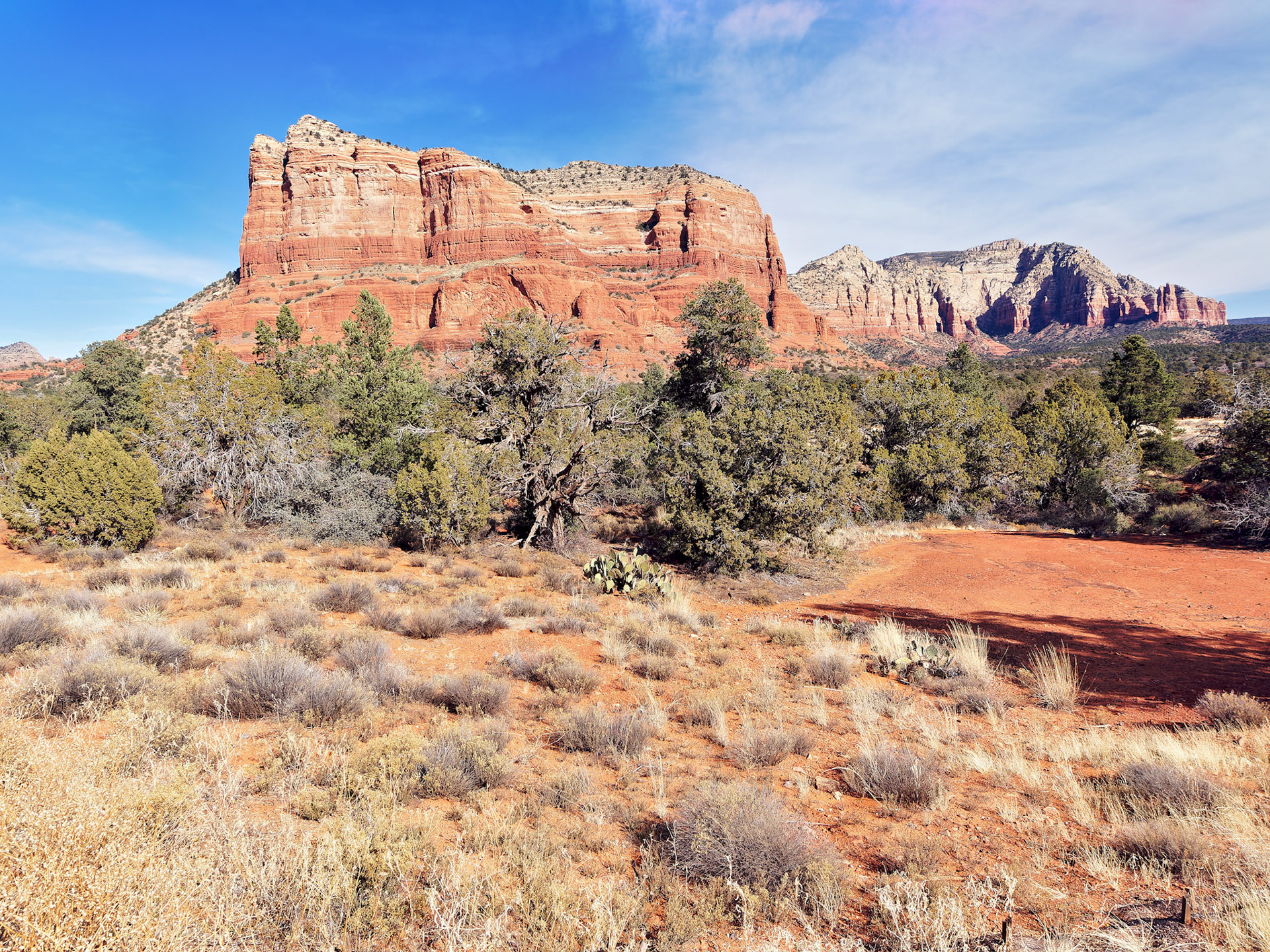 AZ_20121211_0733_PS
