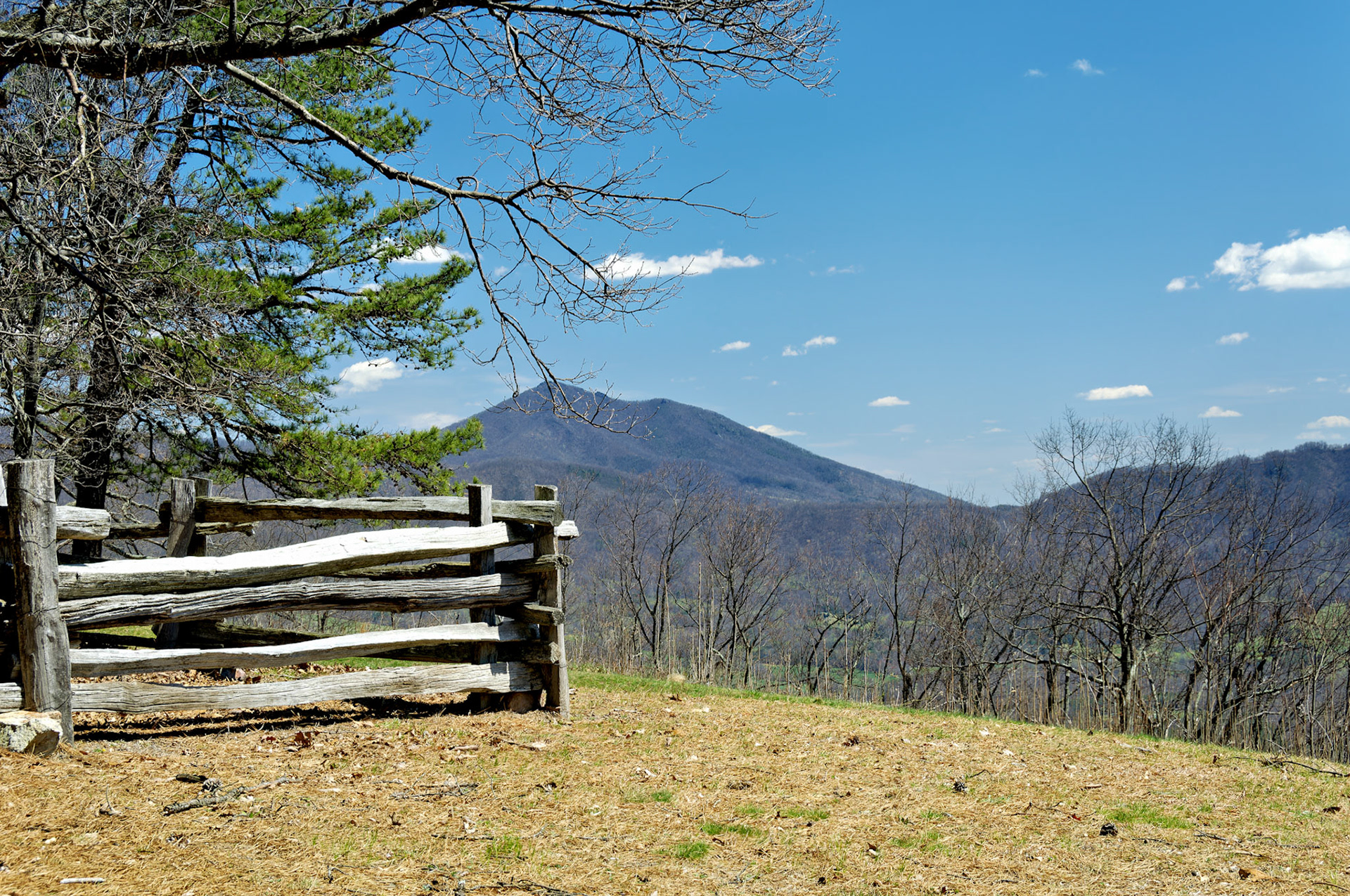 VA_BlueRidge_20060405_0096_PS