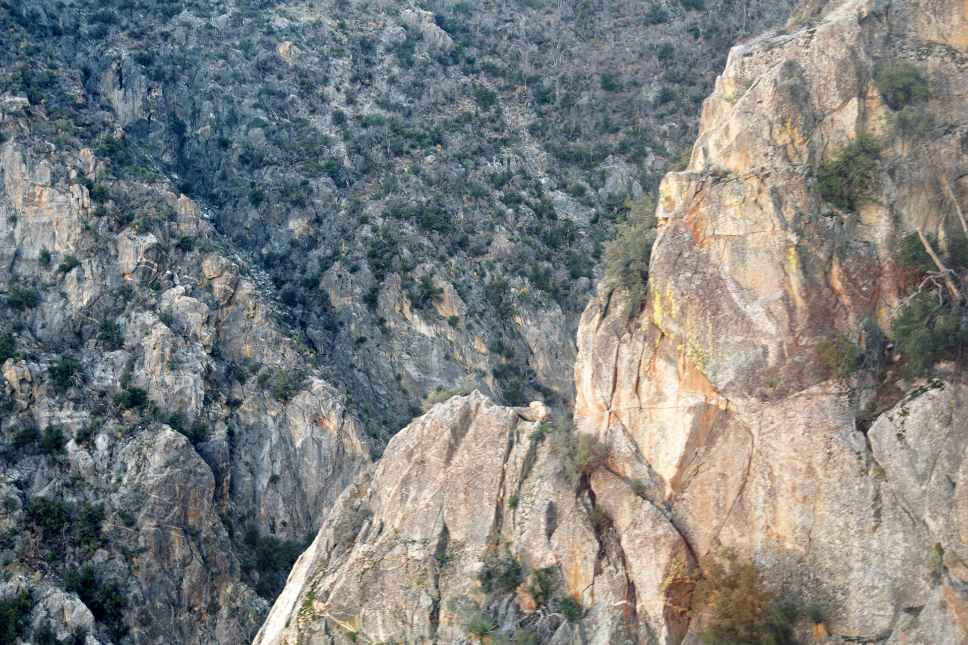 CA_PalmSprings_20111115_0324_PS