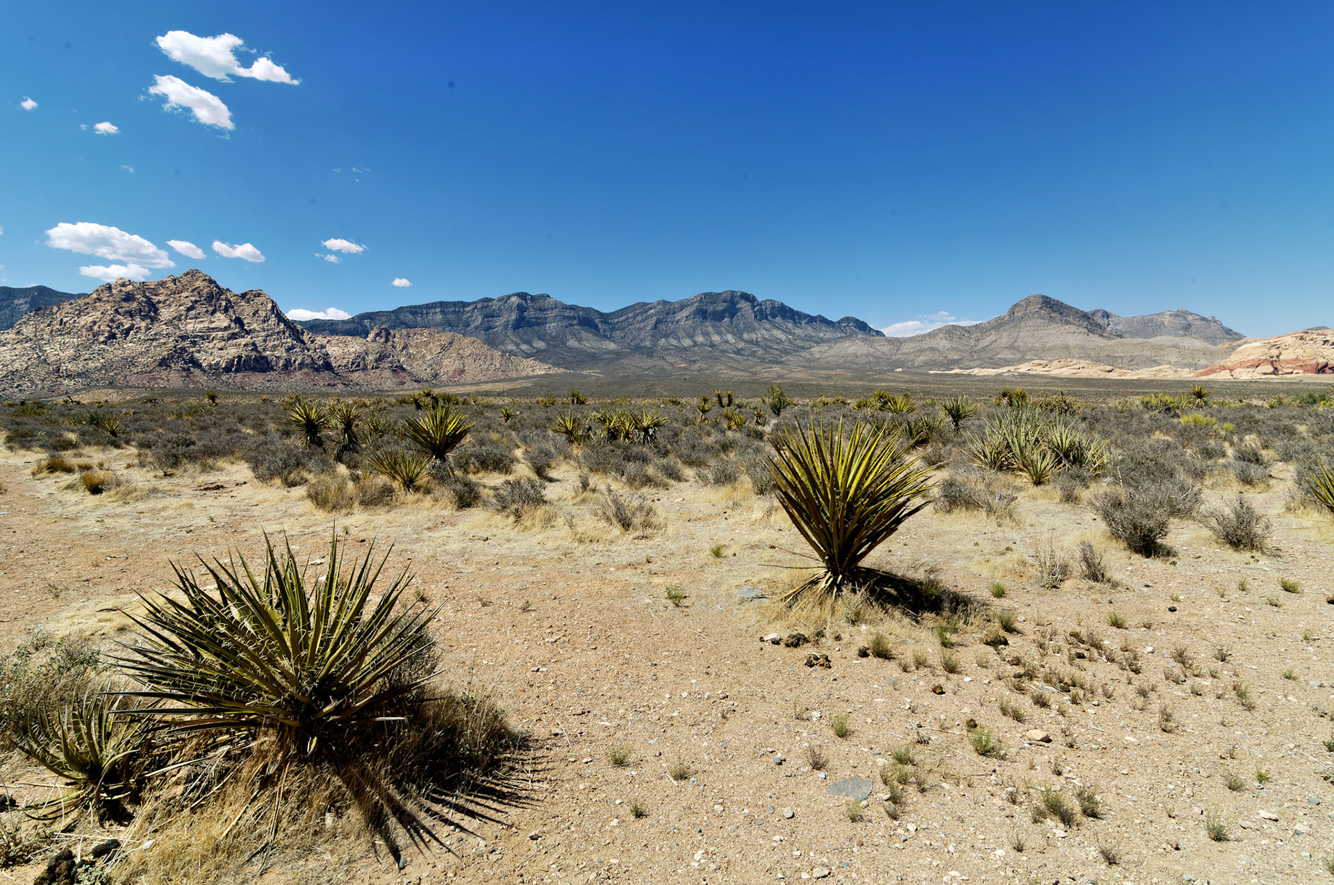 NV_20070531_0147_PS