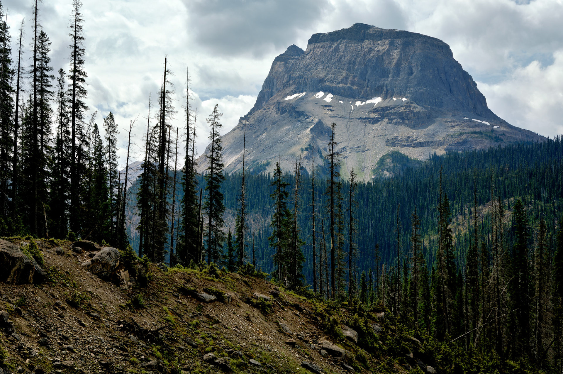 CN_20060803_0342_PS