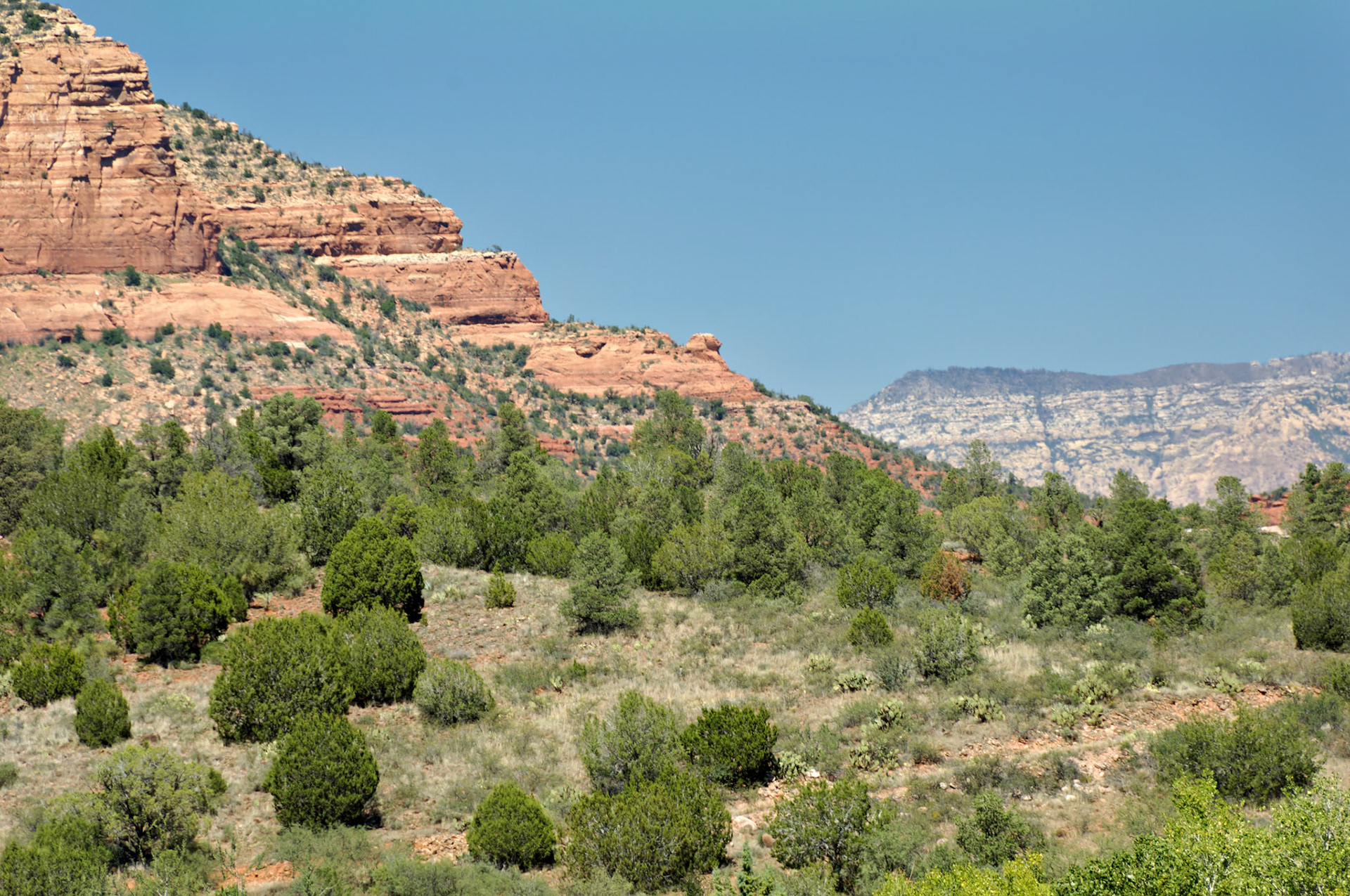 AZ_20060917_0060_PS.dng