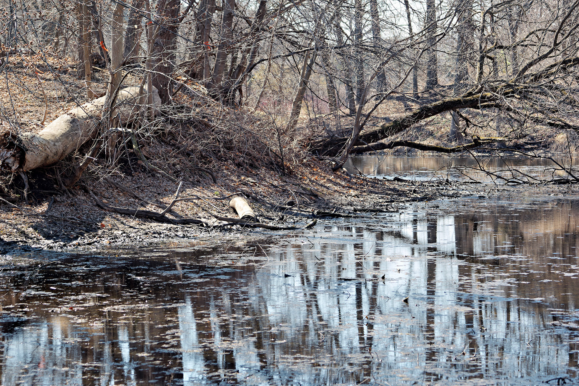 IL_Morton Arboretum_20150402_0647_PS