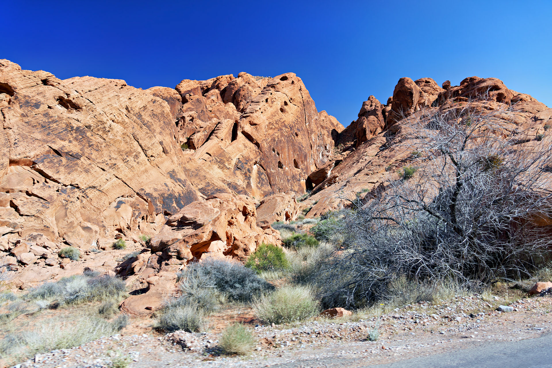 NV_Deserts_20120313_0185_PS.tif