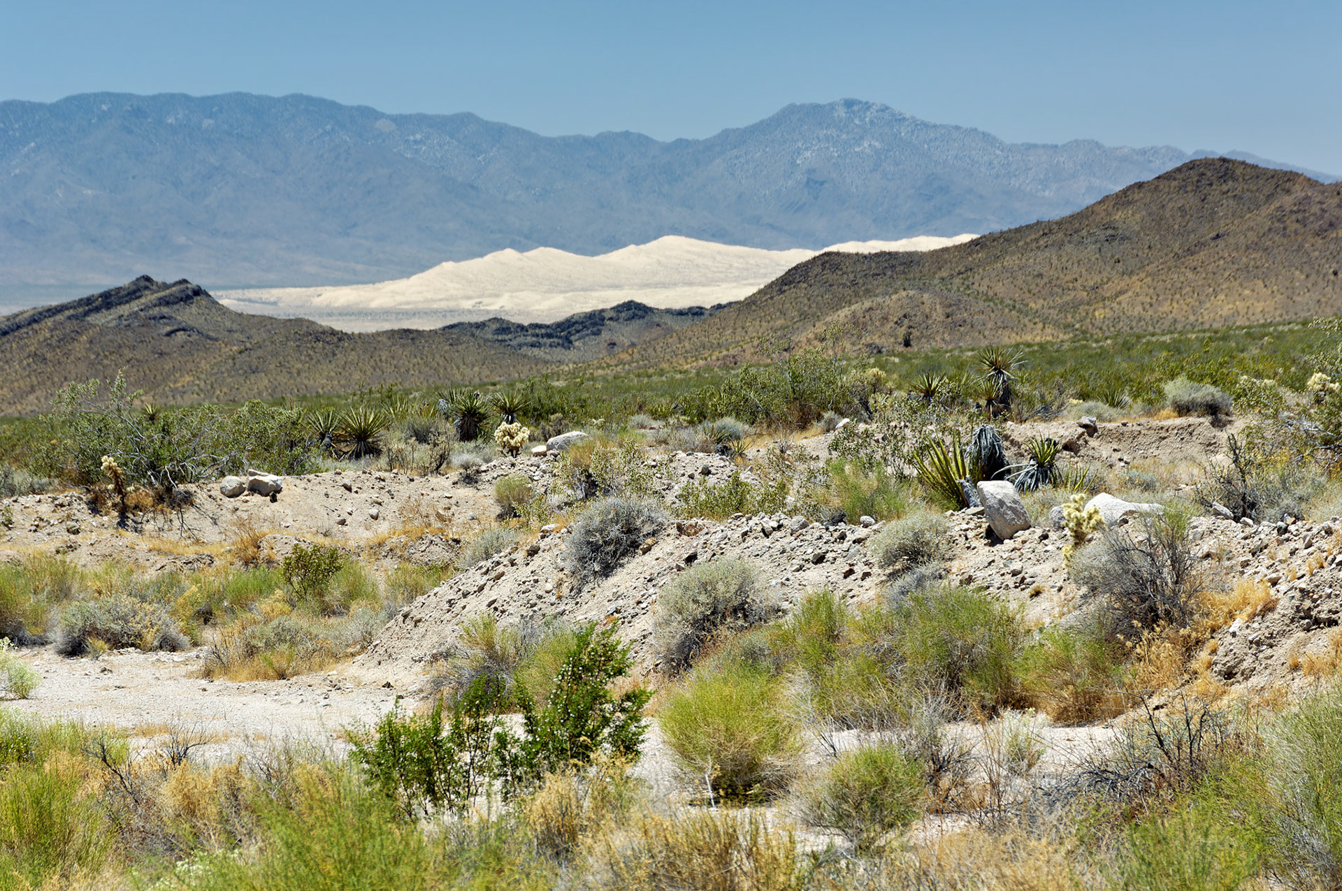 CA_20050614_0075_PS