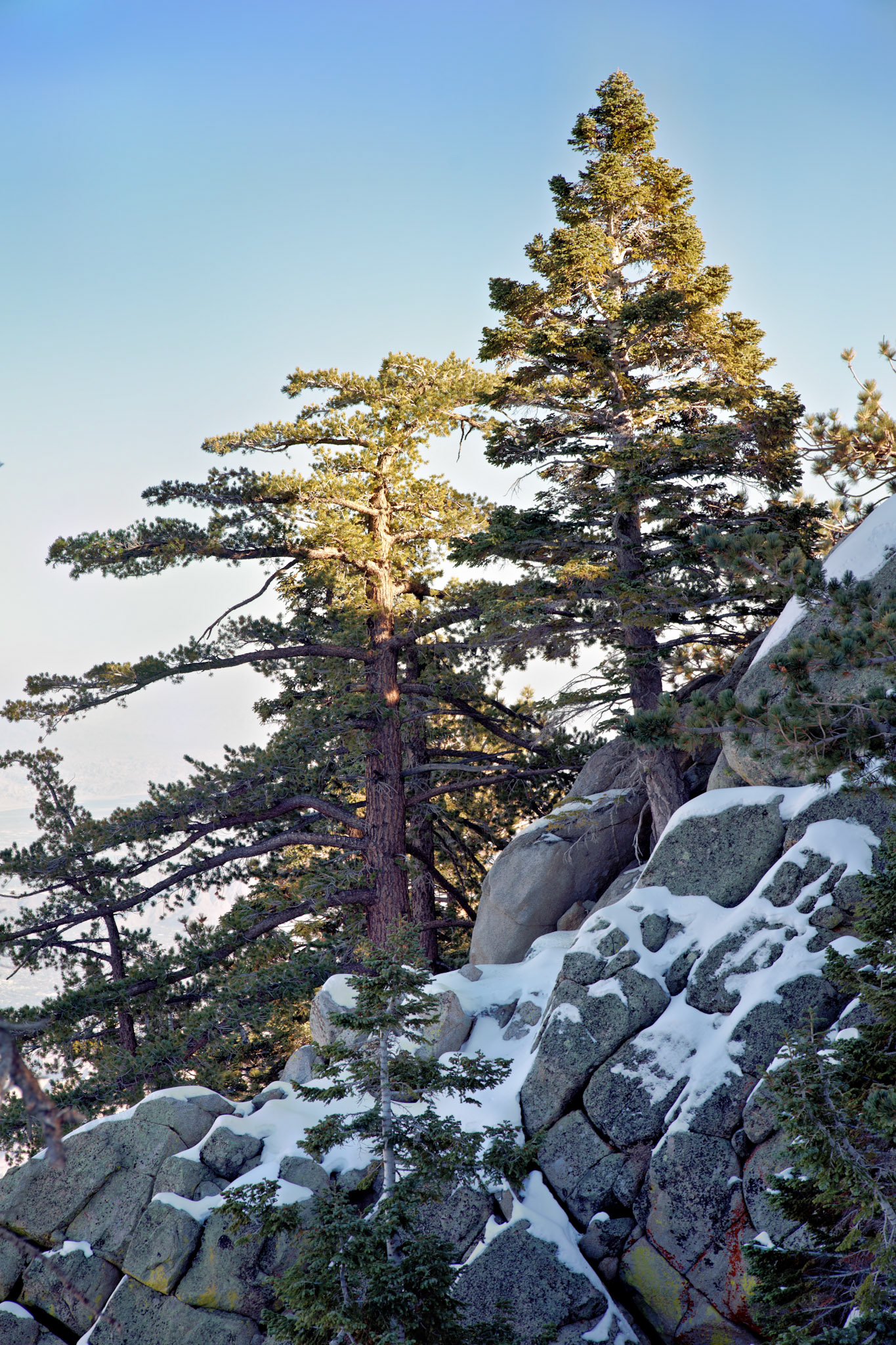 CA_PalmSprings_20111115_0350_PS