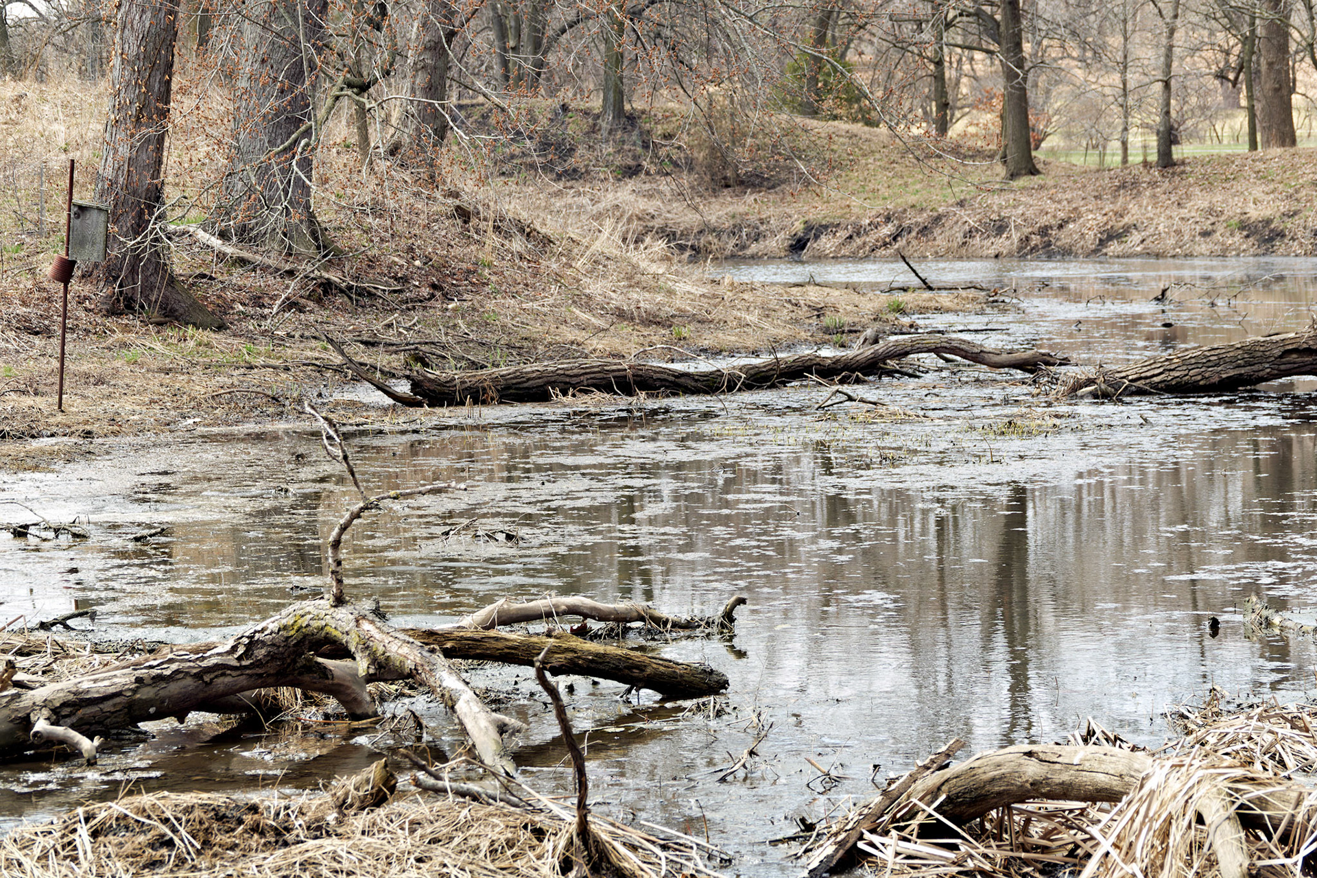 IL_Morton Arboretum_20190406_0864_PS