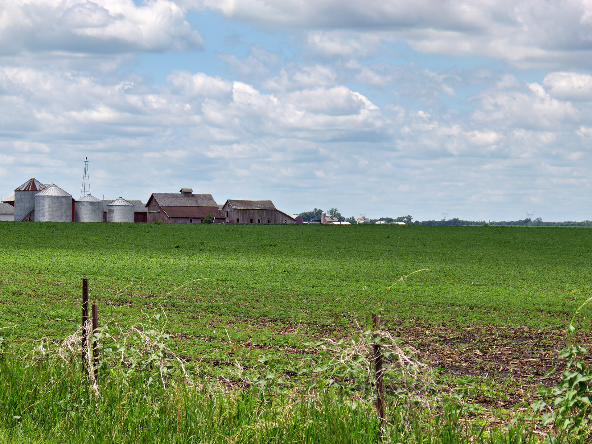 IL_20100616_0354_PS.tif