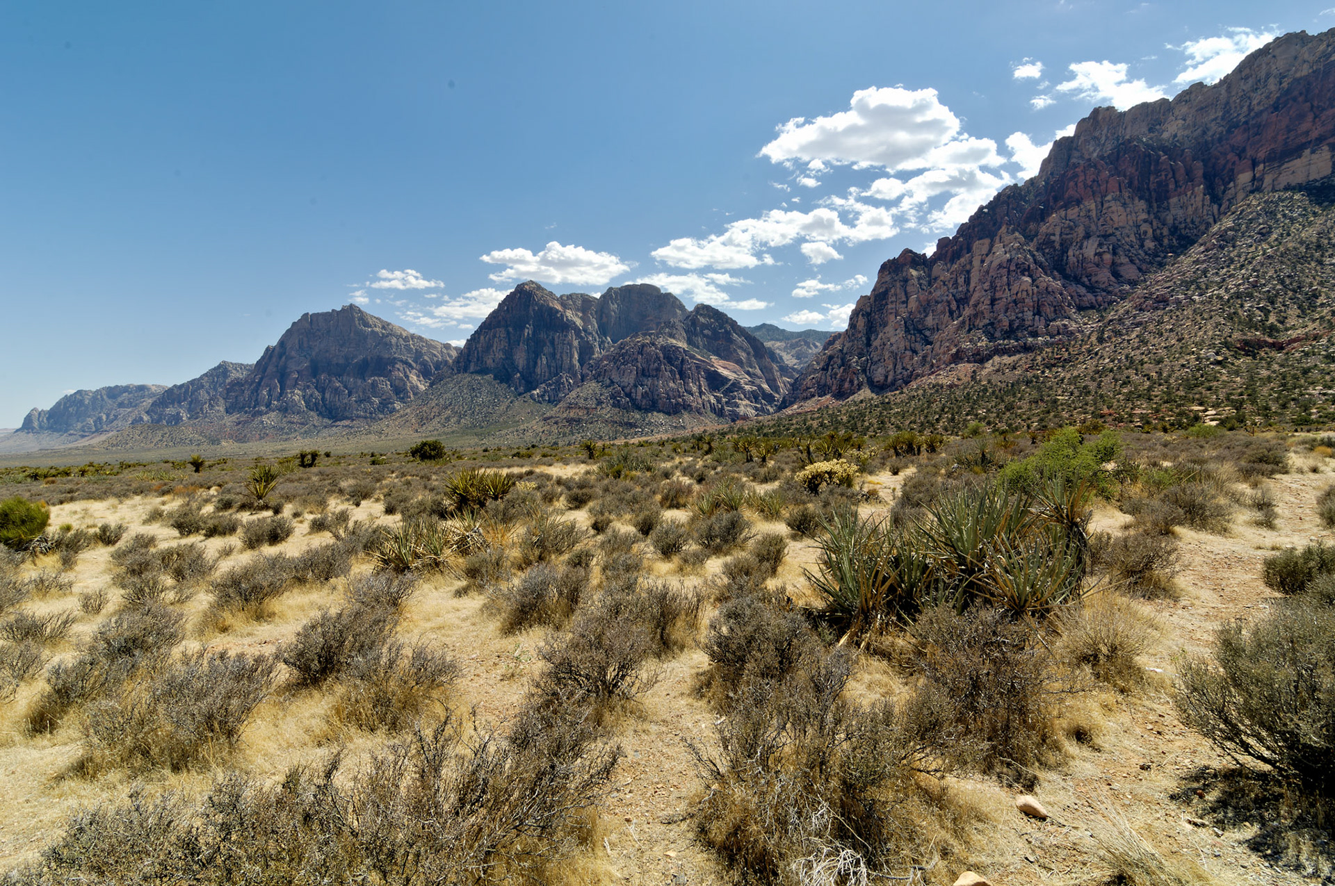 NV_20070531_0156_PS