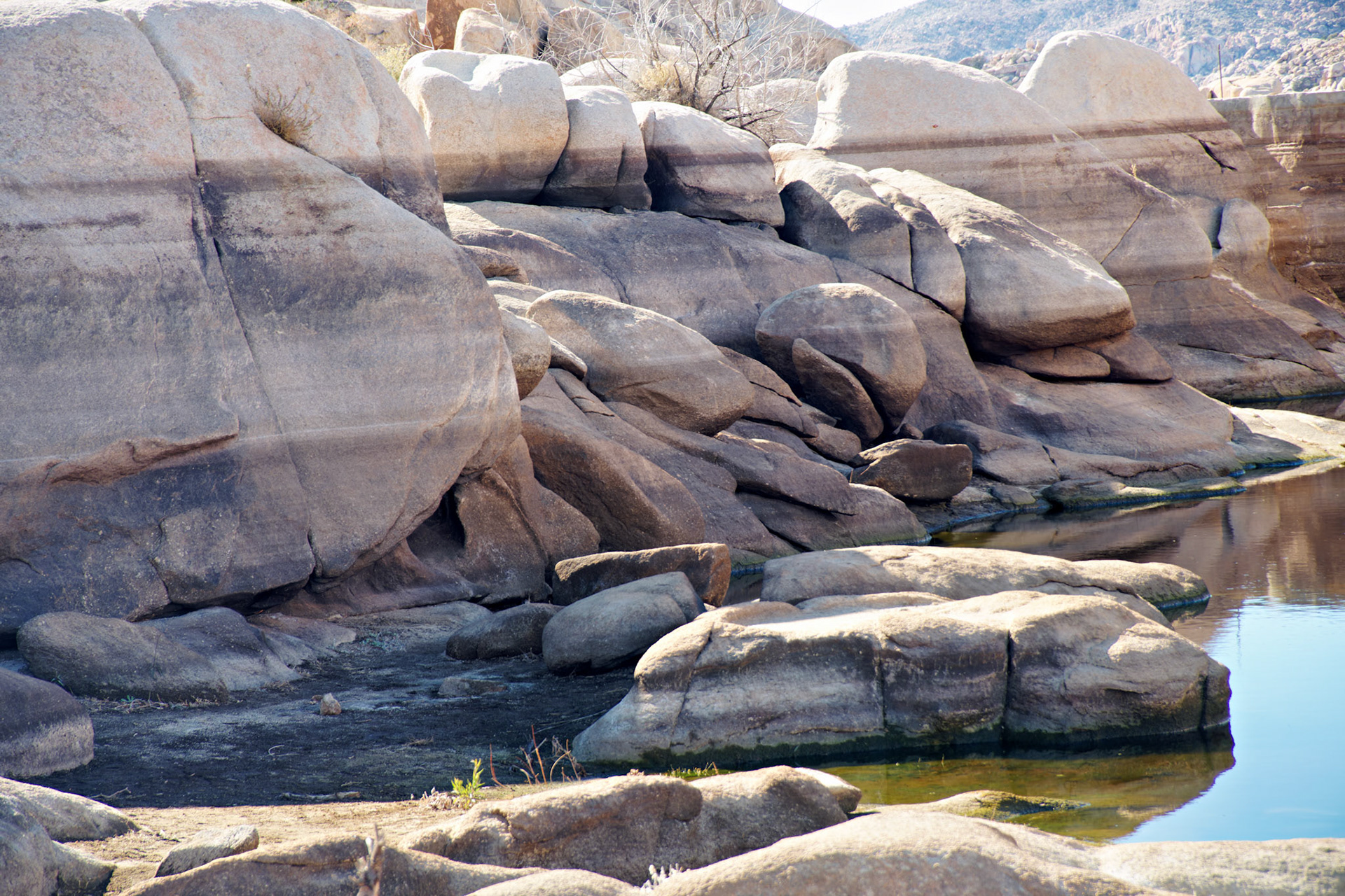 CA_PalmSprings_20090115_0225_PS