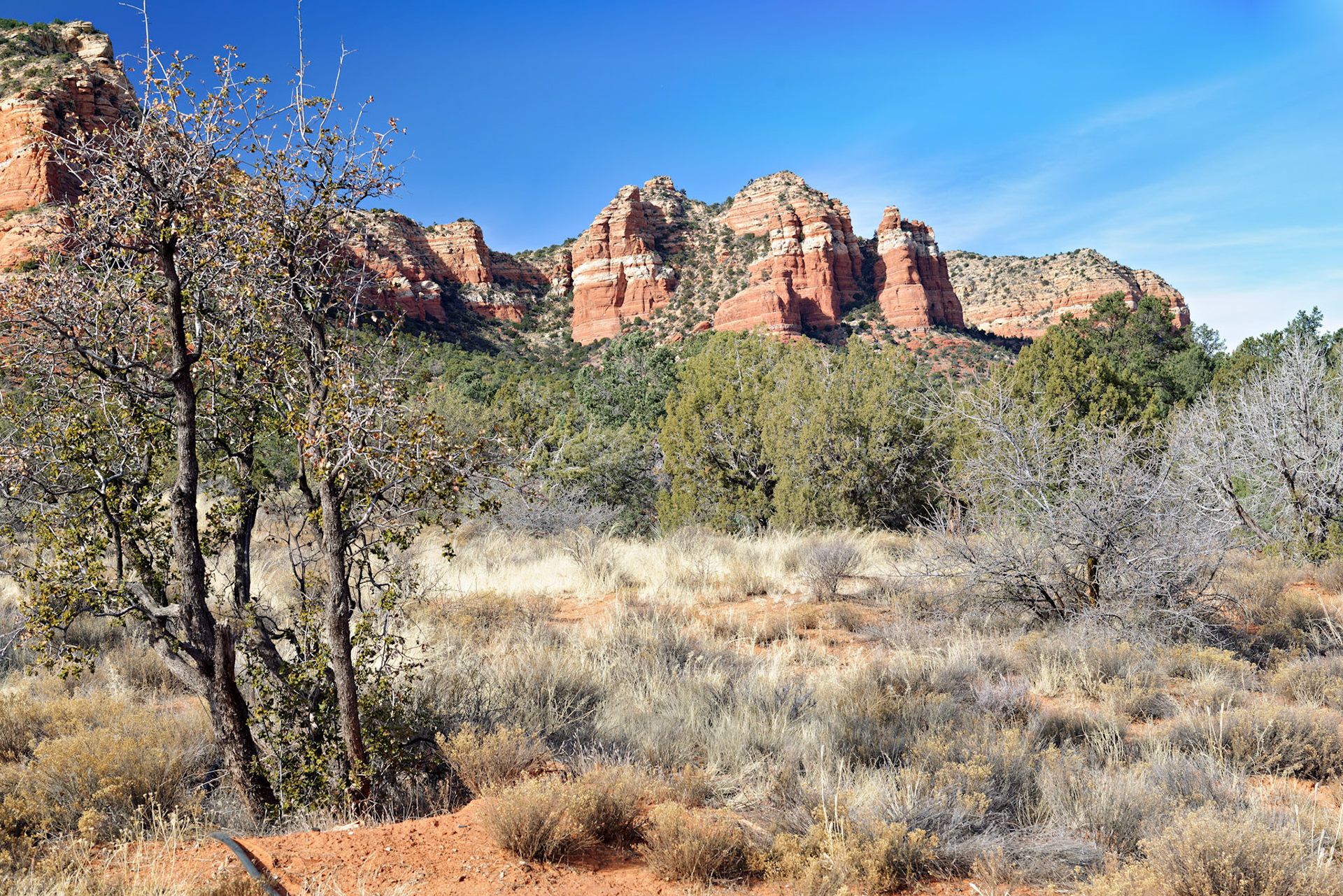 AZ_20121211_0597_PS