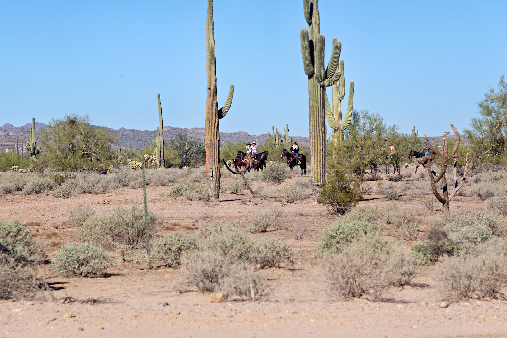 AZ_20121209_0296_PS.dng