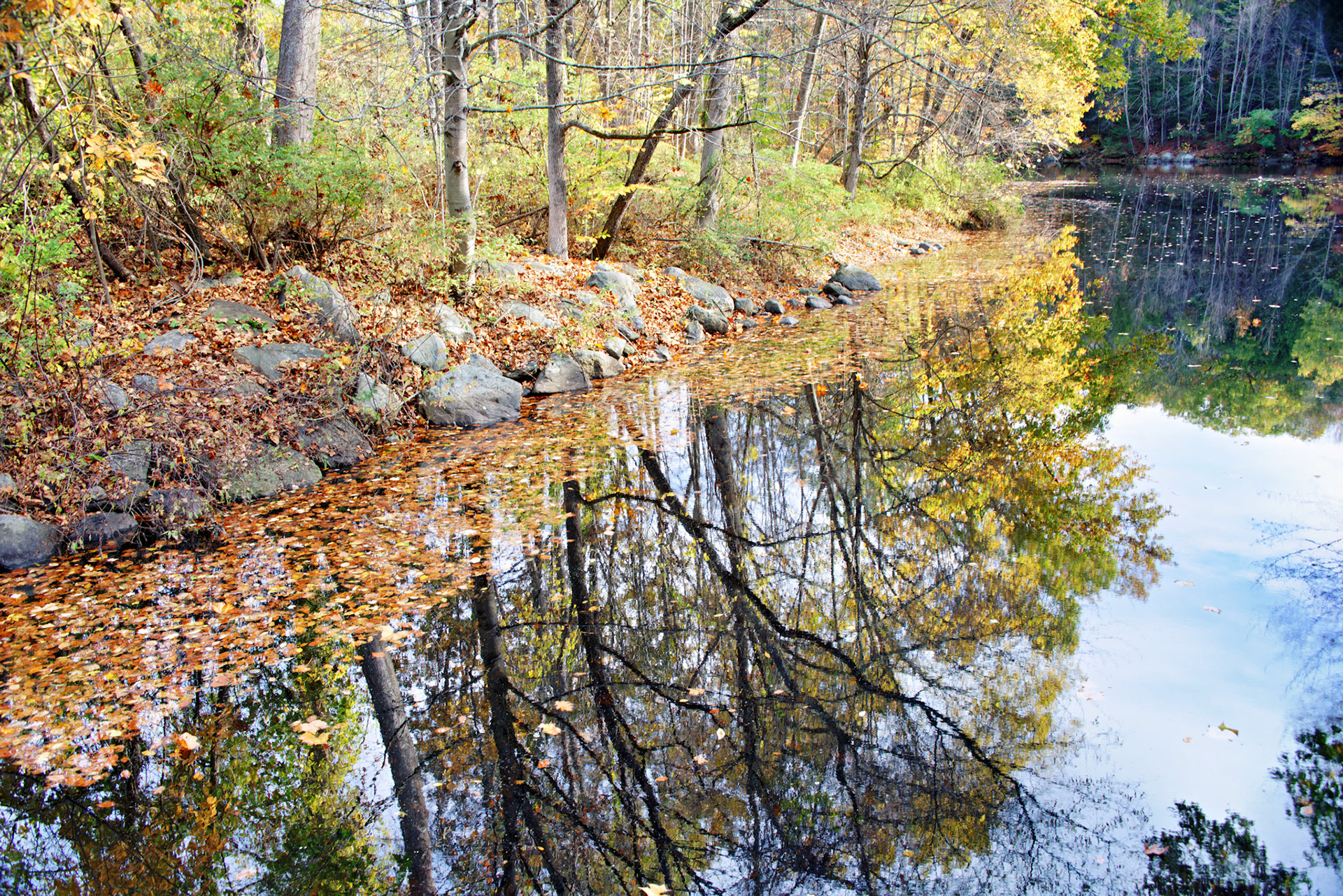 CT_20141019_0472_PS