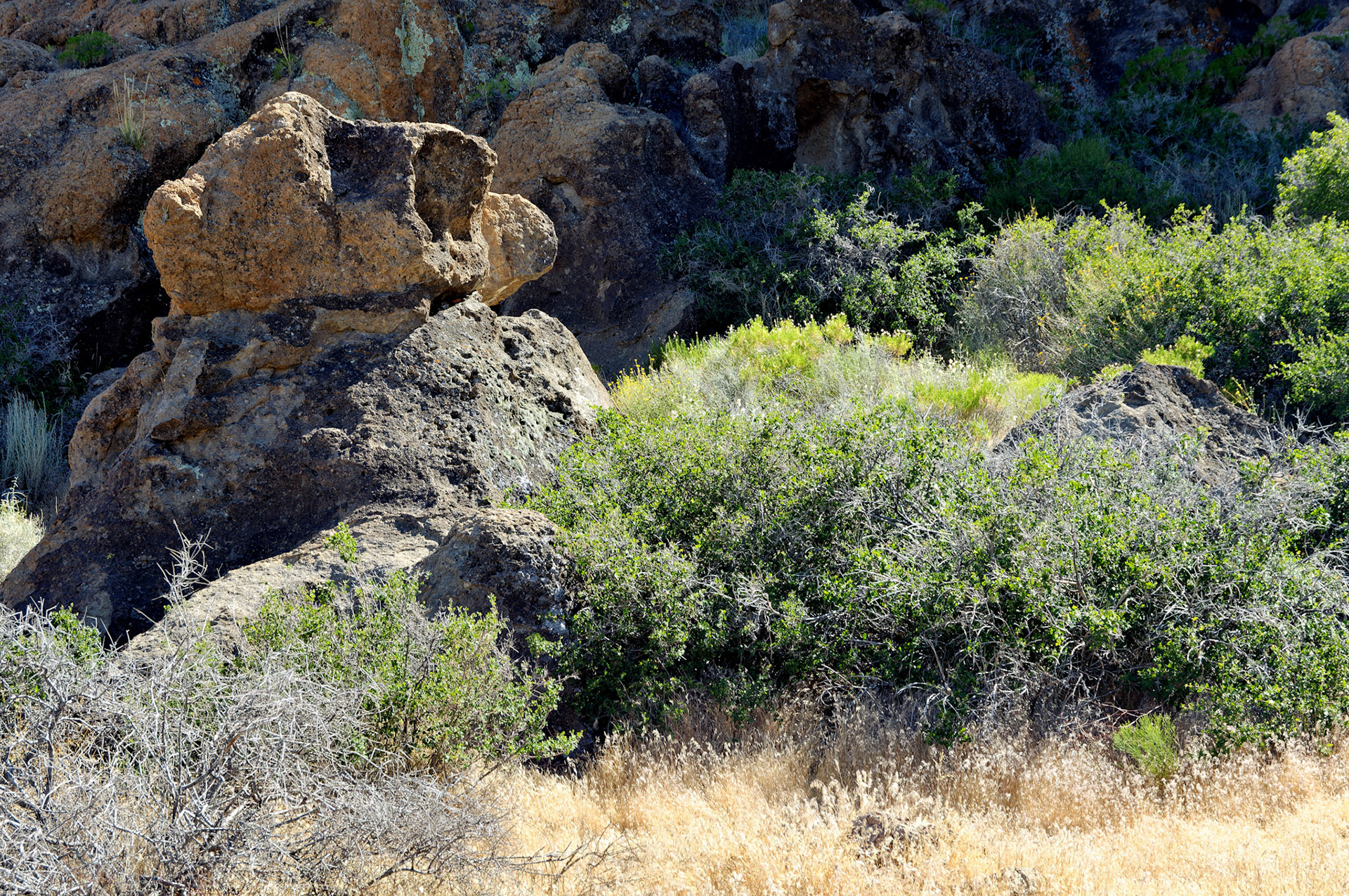 CA_20050614_0163_PS