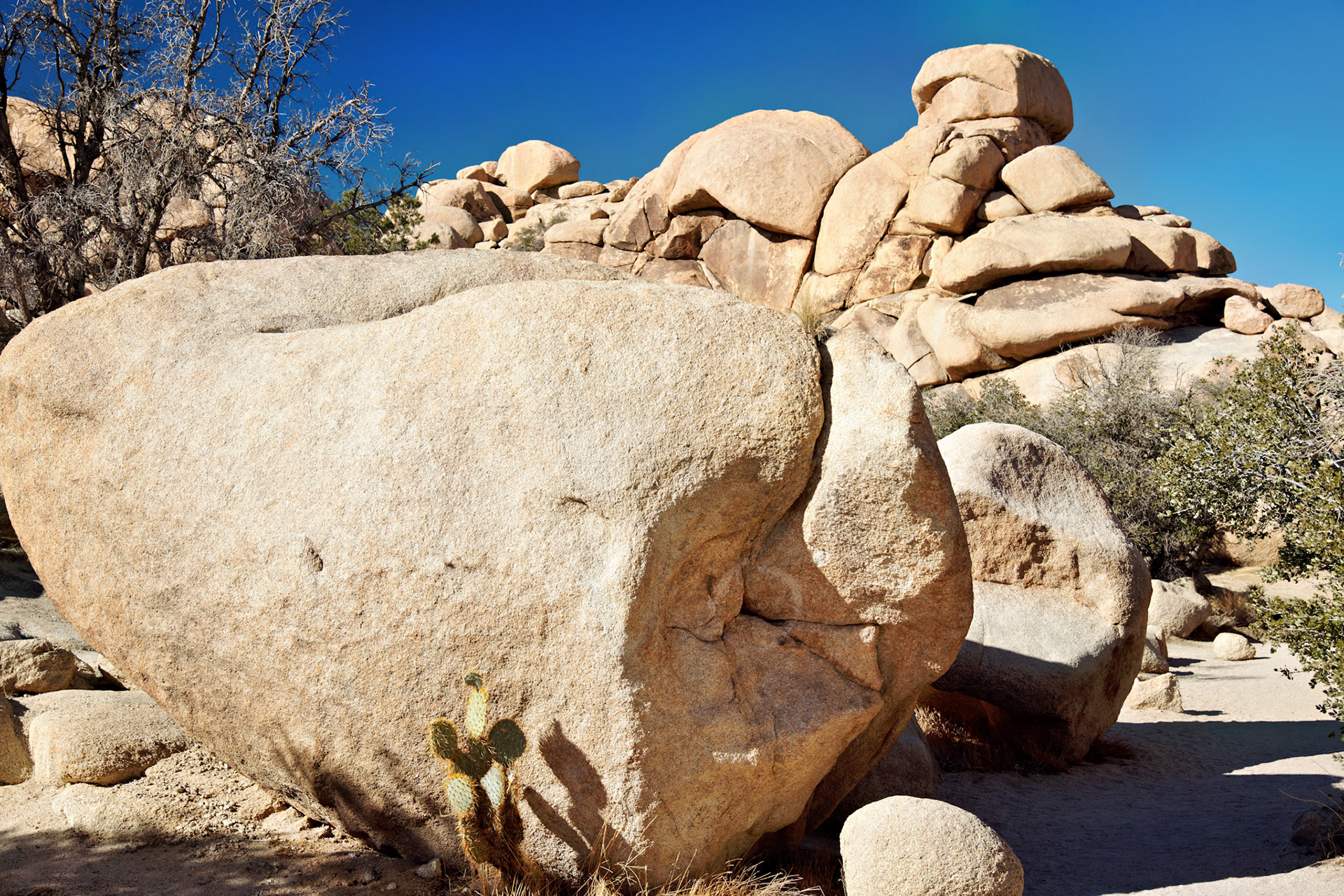 CA_PalmSprings_20090115_0219_PS
