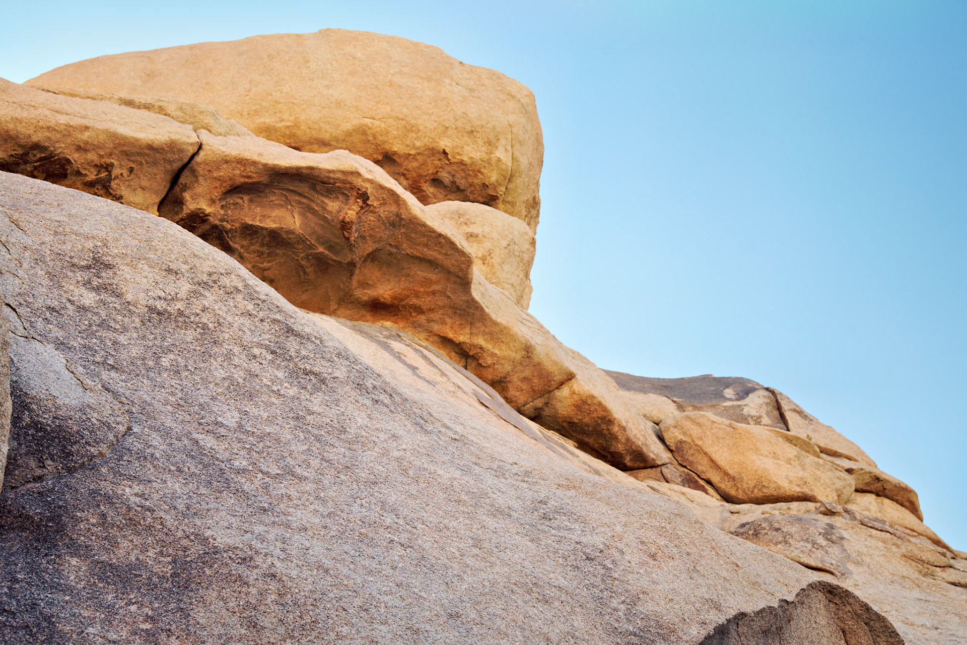 CA_JoshuaTree_20111114_0189_PS
