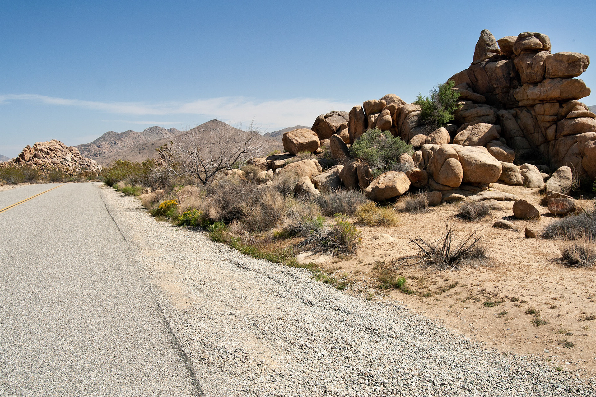 CA_JoshuaTree_20030514_0015_PS