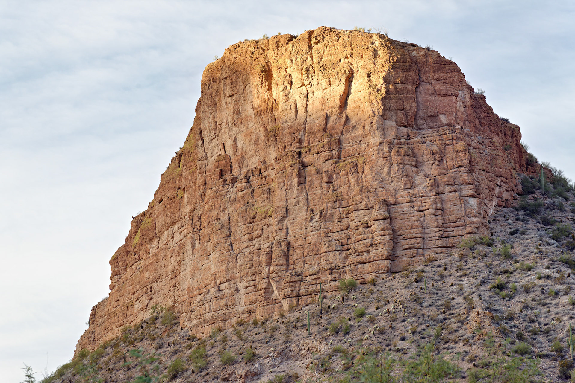 AZ_20121209_0202_PS.dng