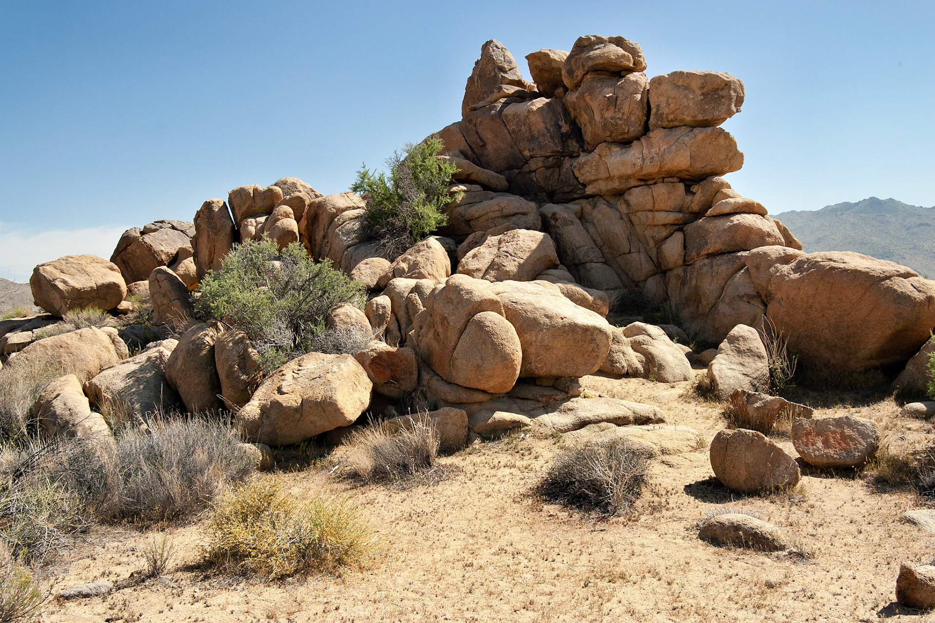 CA_JoshuaTree_20030514_0016_PS