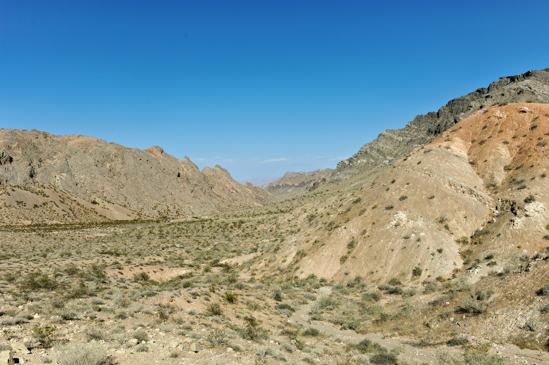 NV_20070531_0162_PS