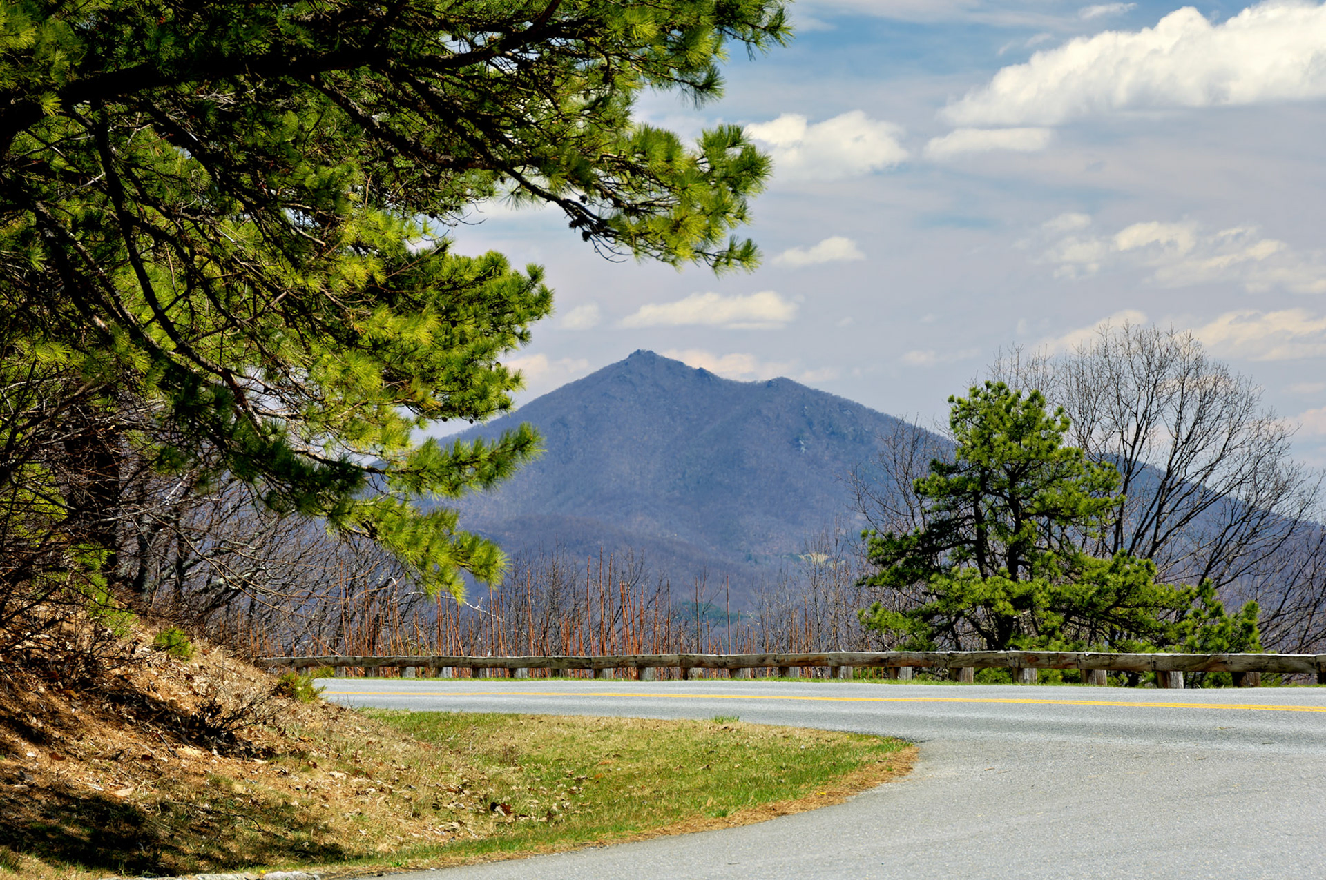VA_BlueRidge_20060405_0073_PS
