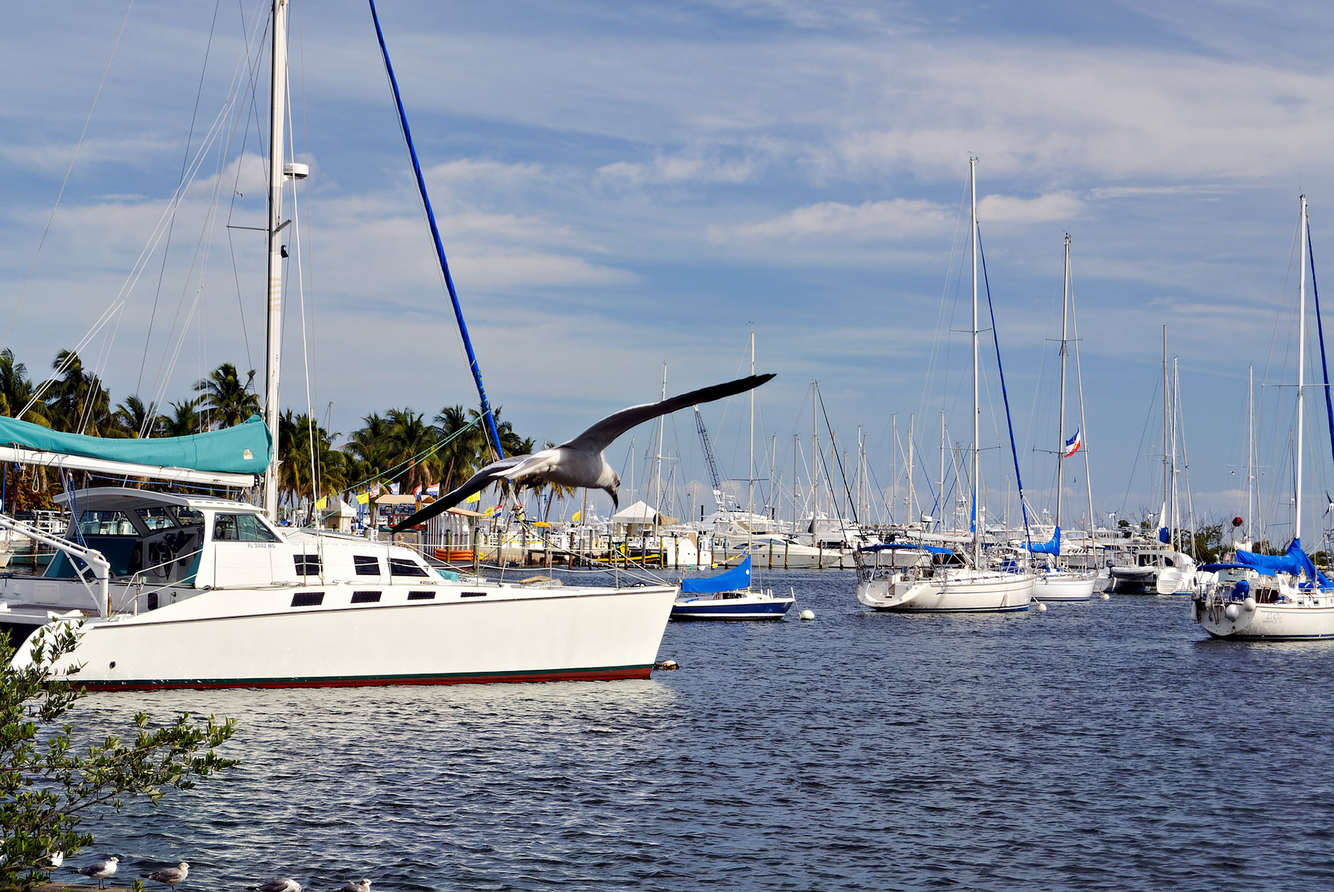 FL_Miami_20120218_0201_PS