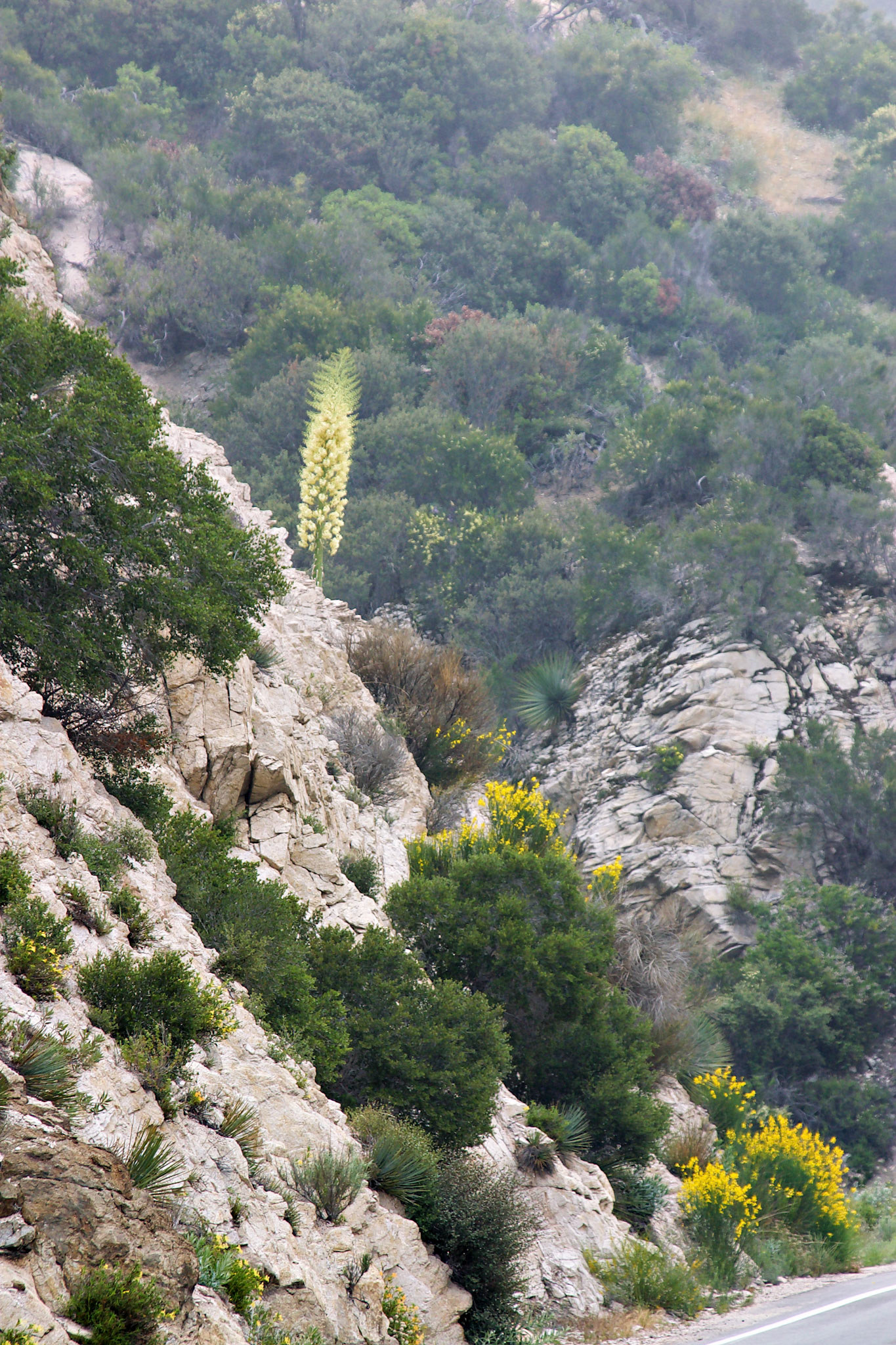 CA_LA_20030514_0034_PS