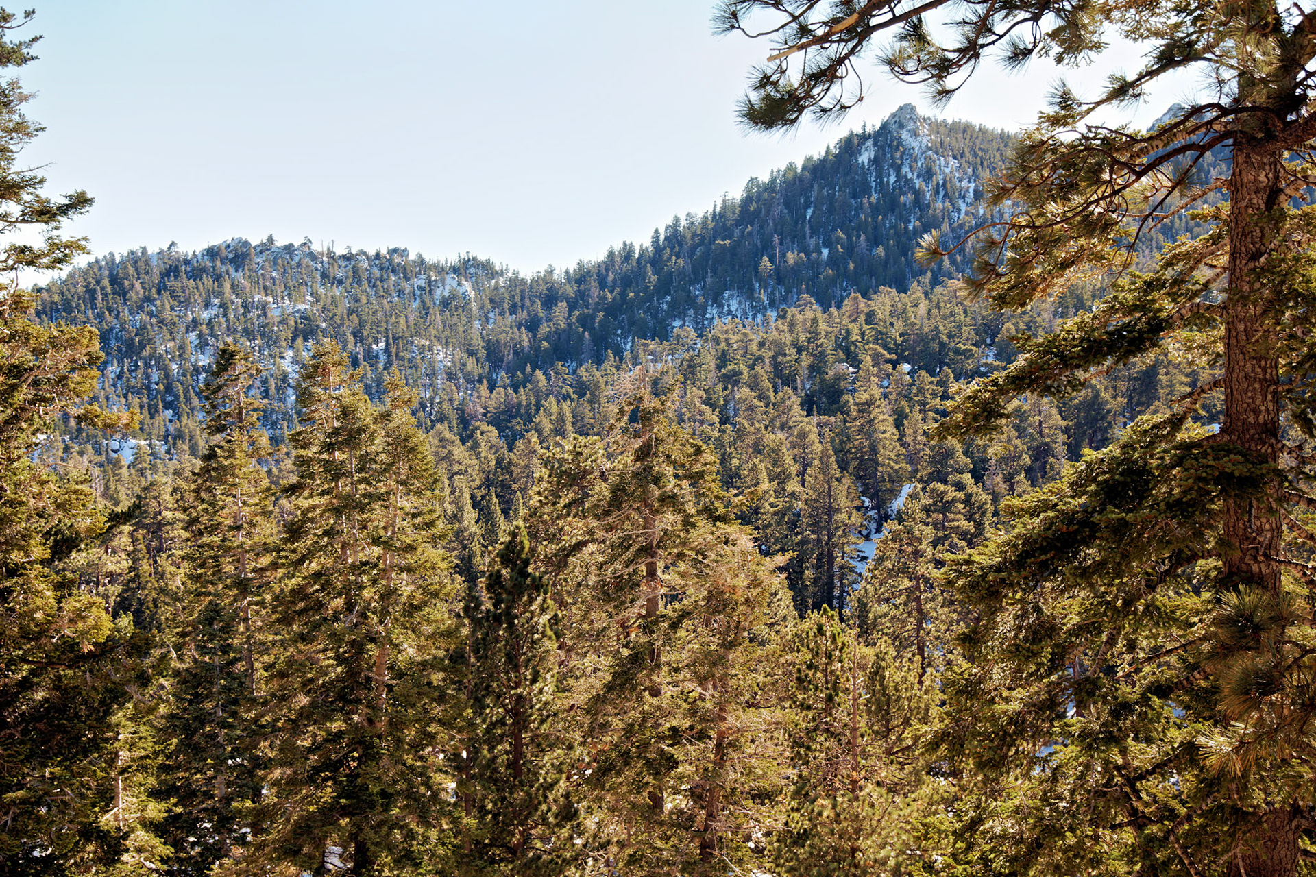 CA_PalmSprings_20111115_0340_PS