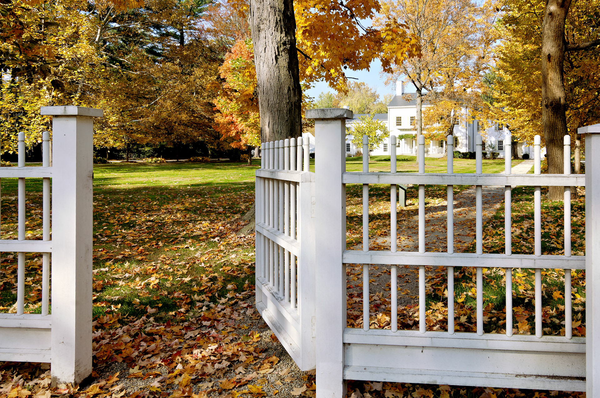 NJ_Princeton_20051105_0131_PS