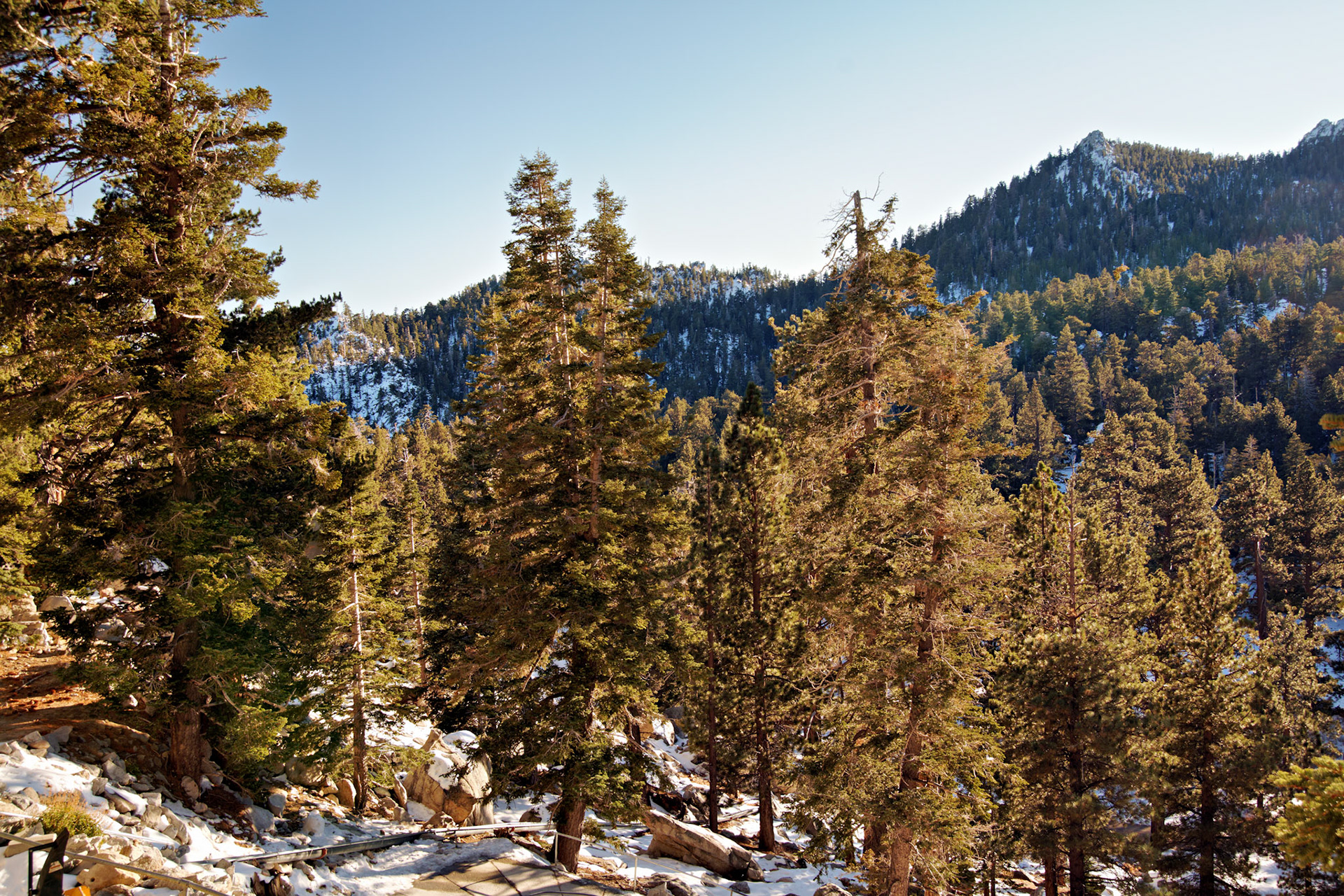 CA_PalmSprings_20111115_0356_PS