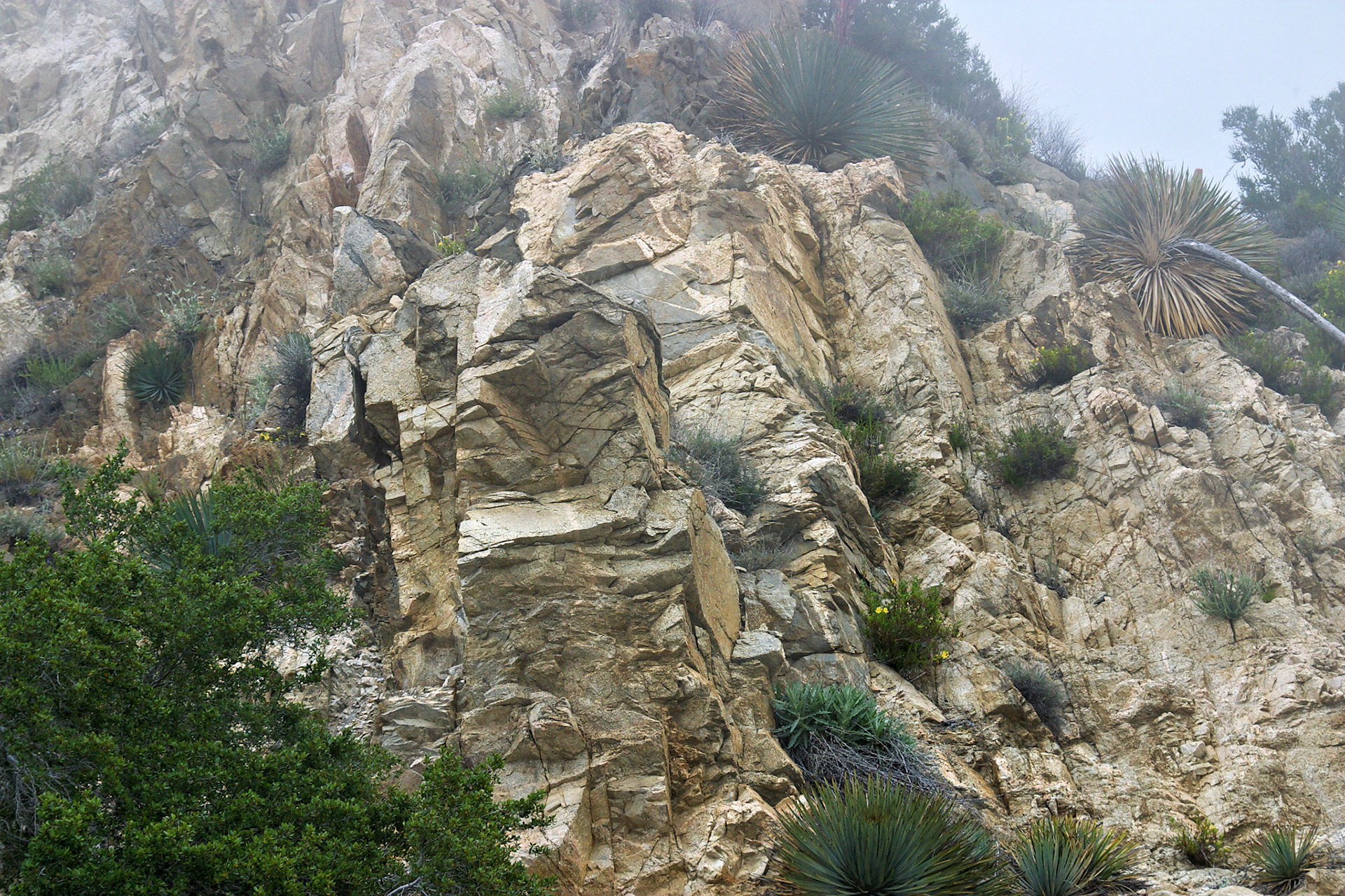 CA_LA_20030514_0023_PS