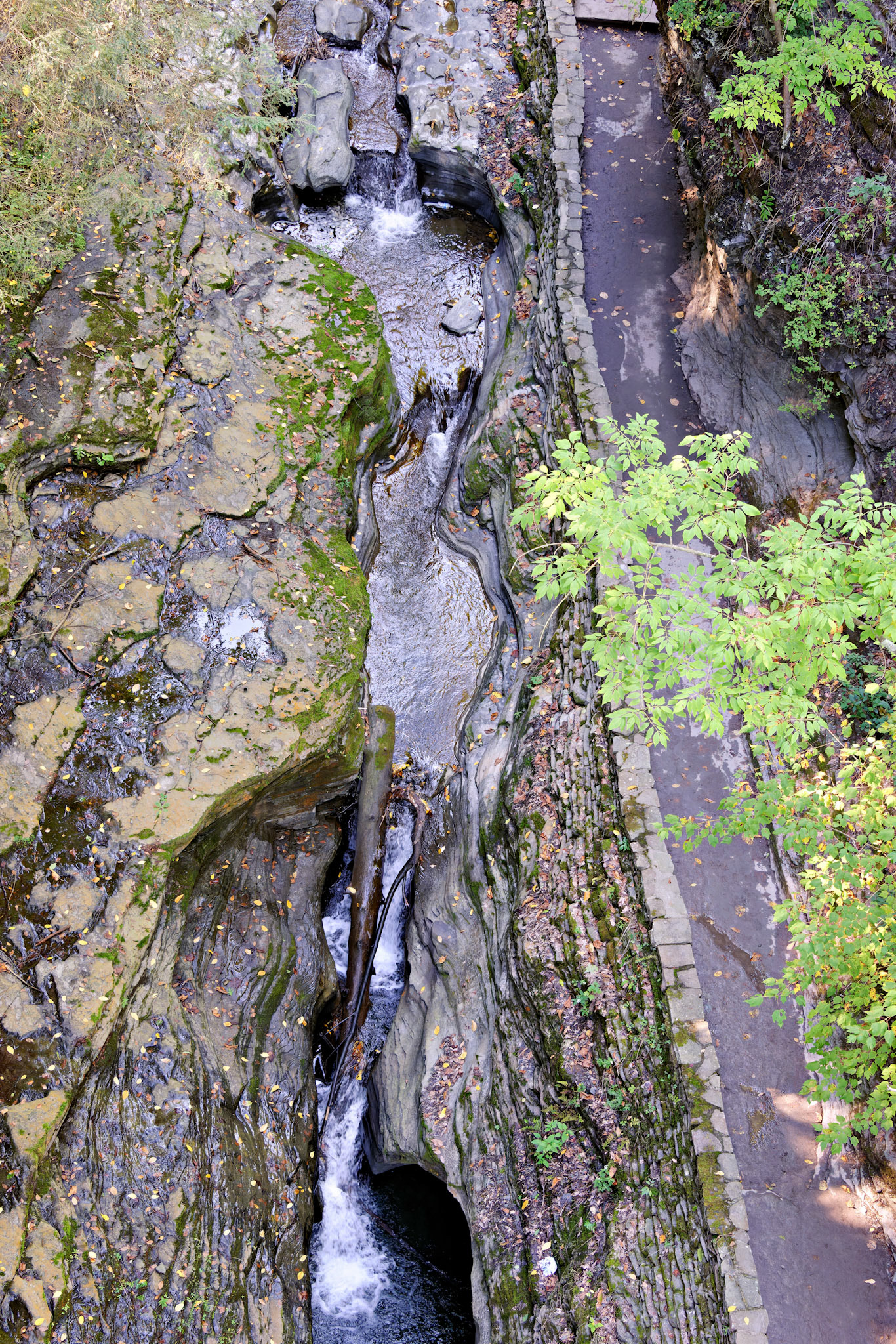 NY_FingerLakes_20120927_0235_PS