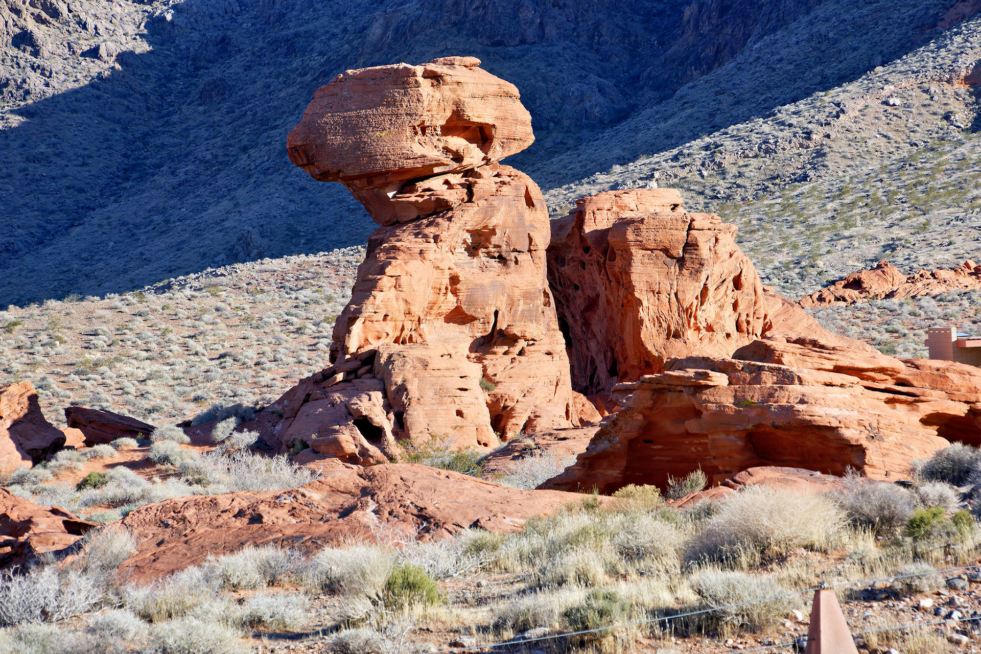 NV_Deserts_20120313_0262_PS