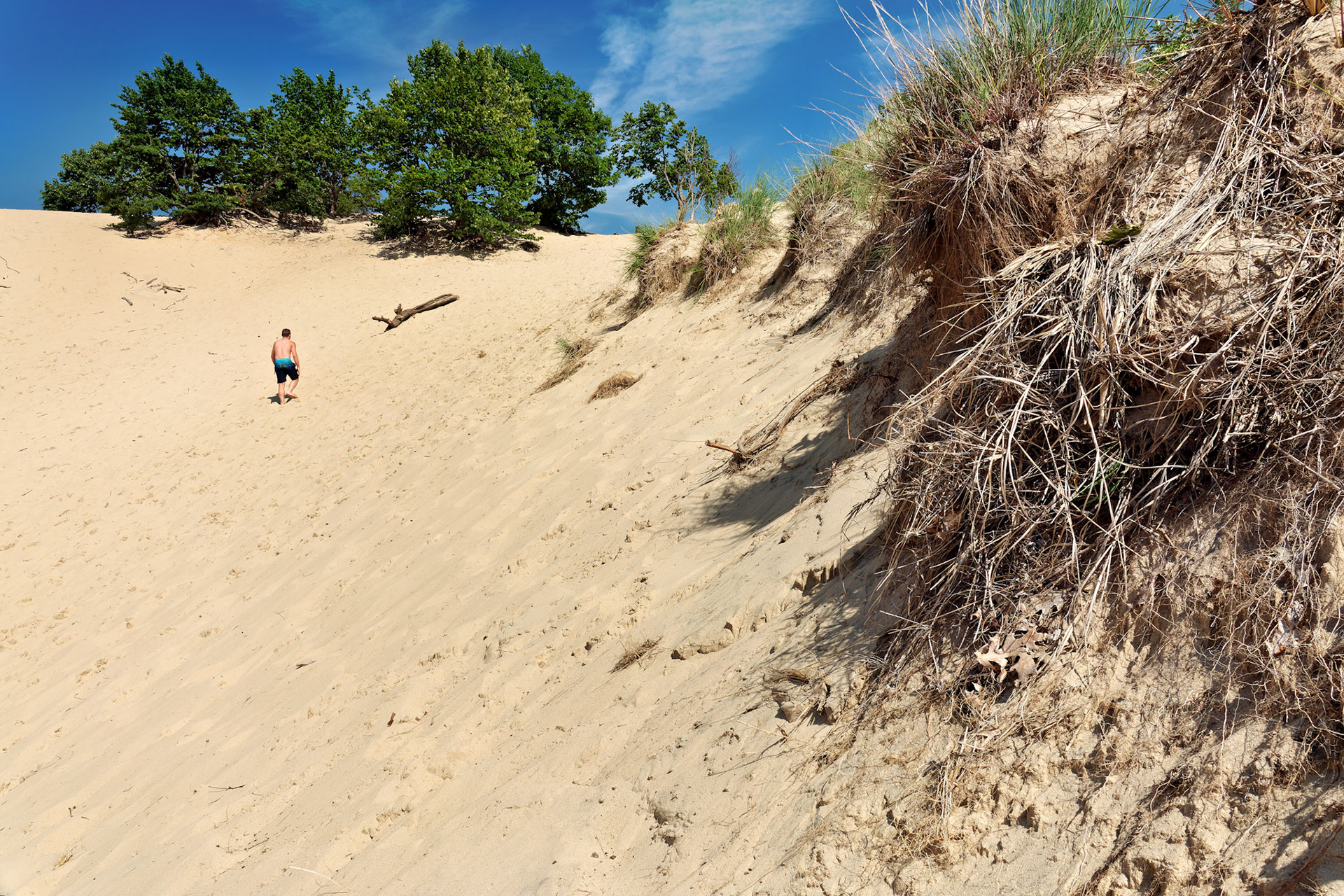MI_New BuffaloArea_20170715_0235_PS