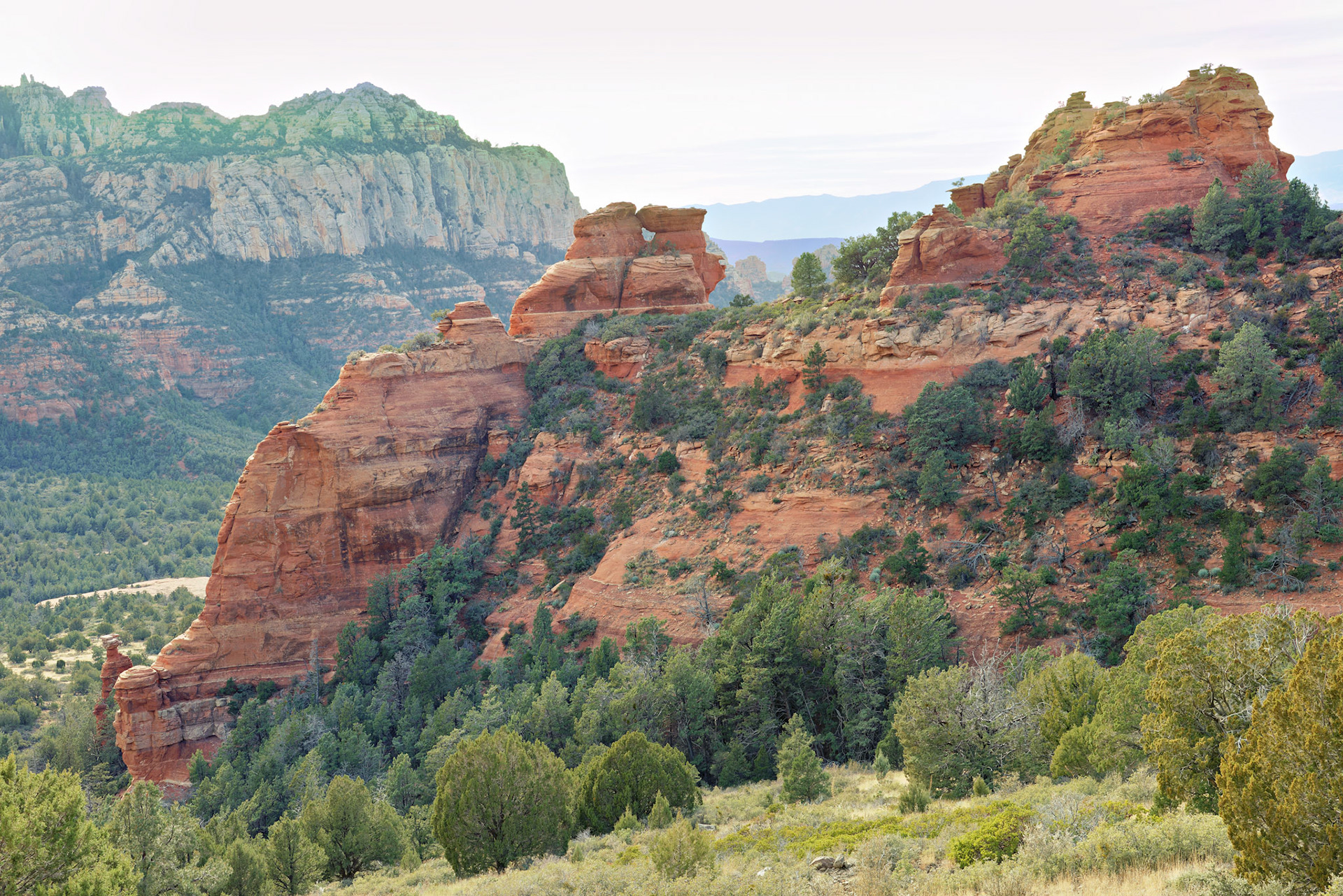 AZ_20121211_0531_PS.dng