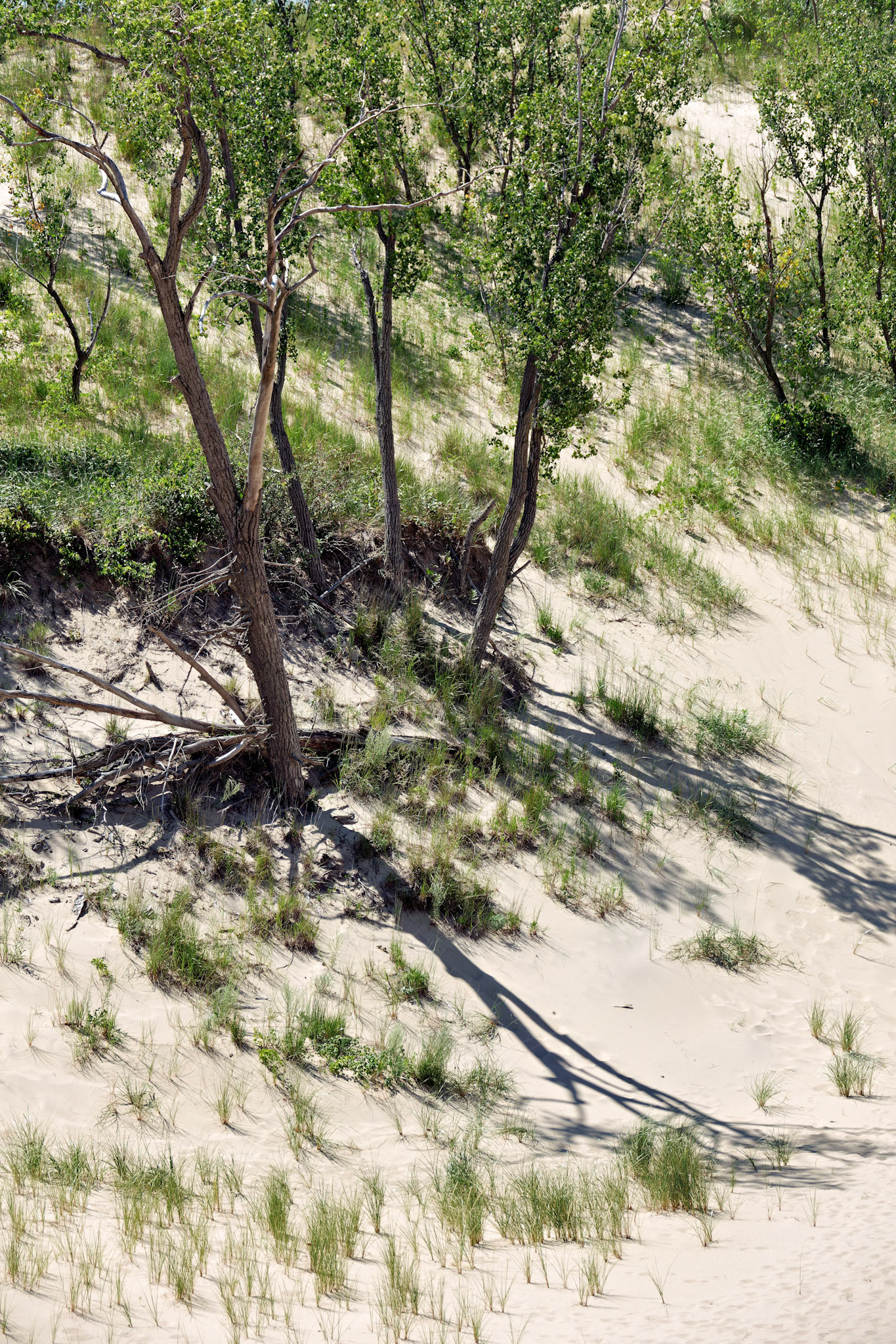 MI_New BuffaloArea_20160808_0146_PS