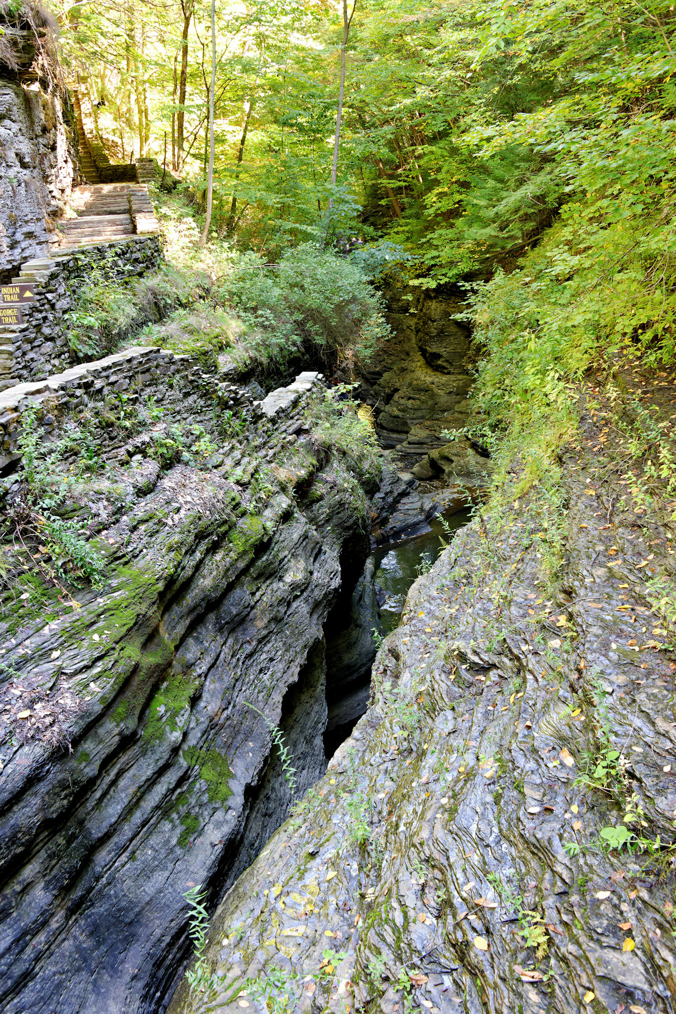 NY_FingerLakes_20120927_0215_PS