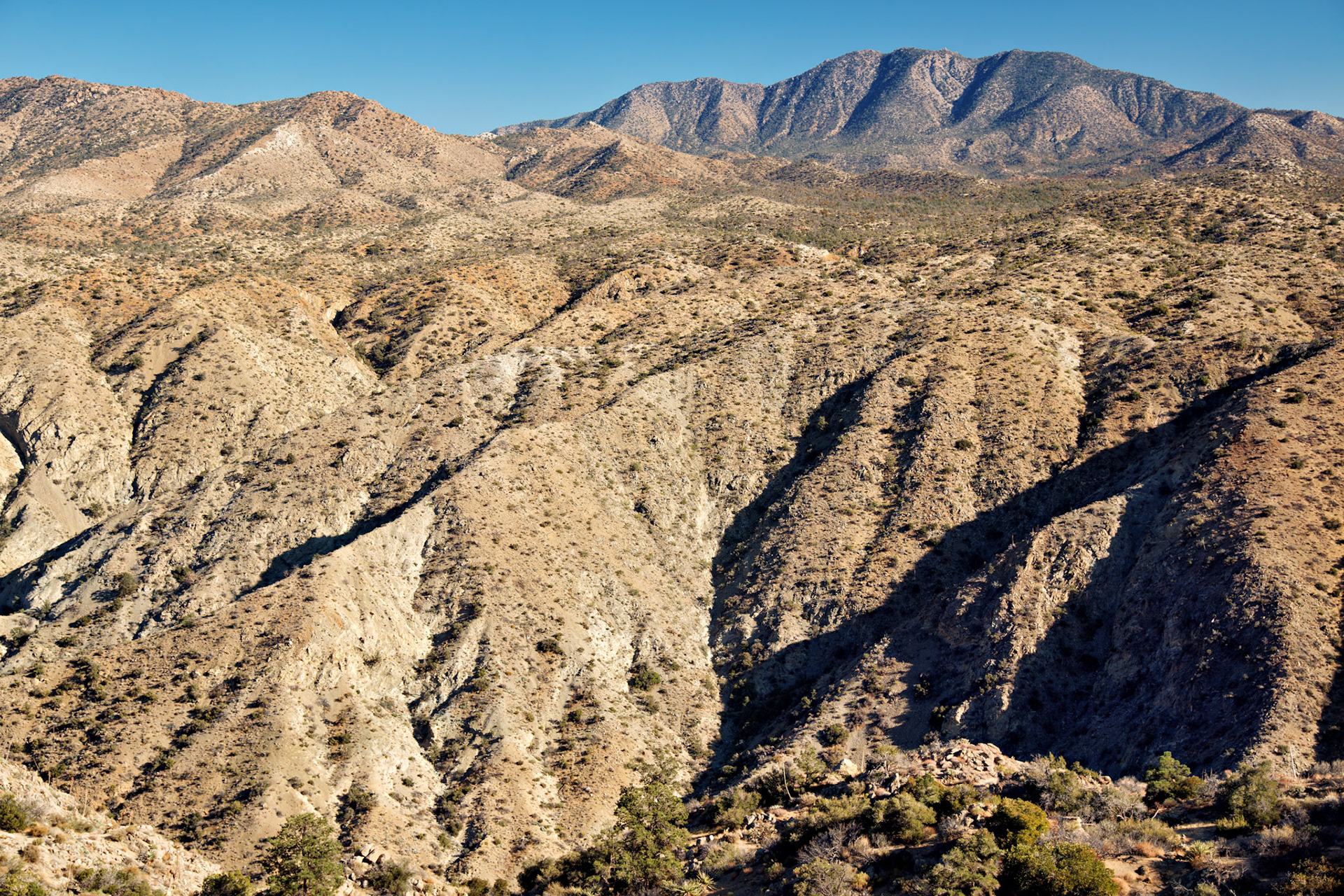 CA_PalmSprings_20111116_0428_PS