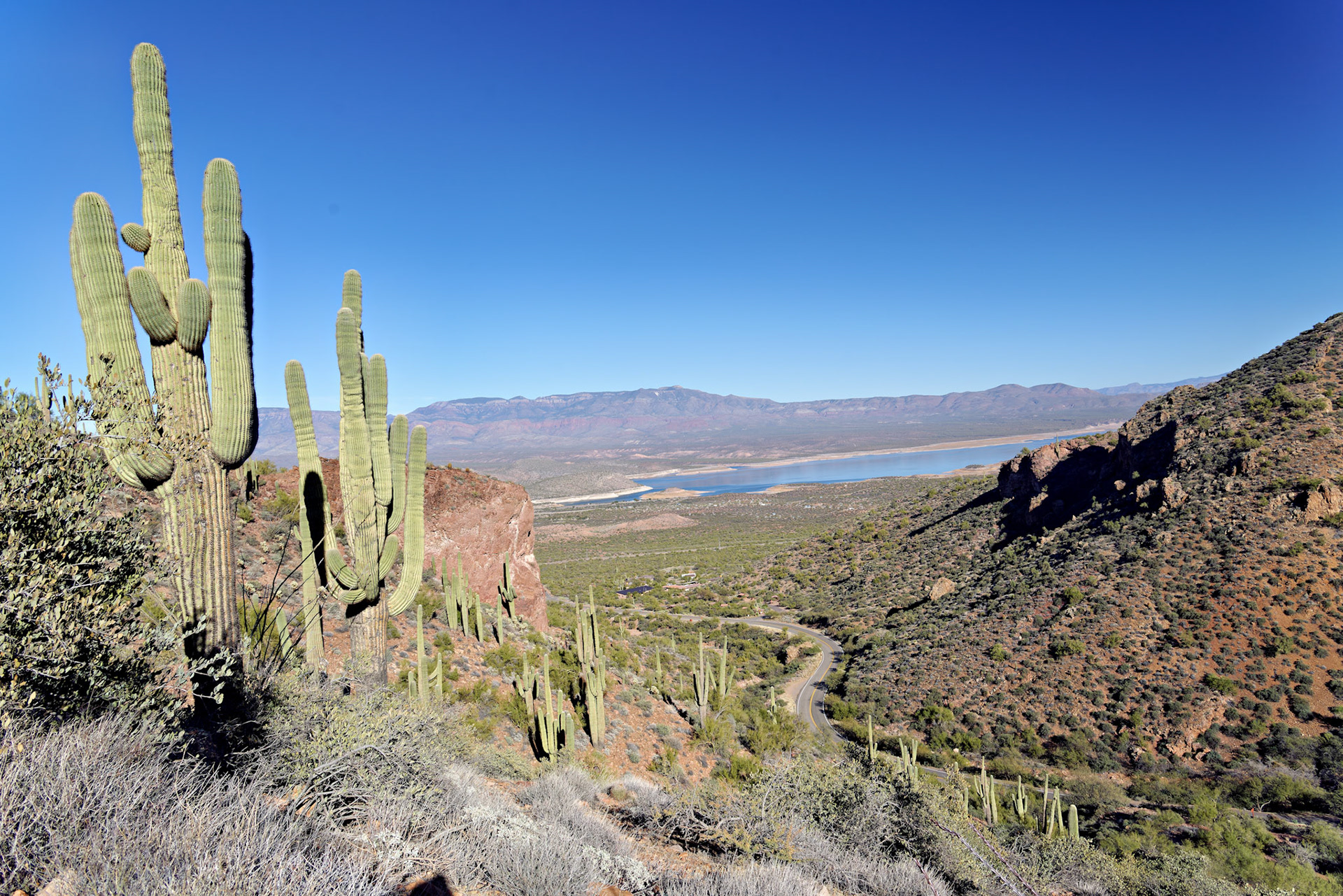 AZ_20121210_0410_PS.dng