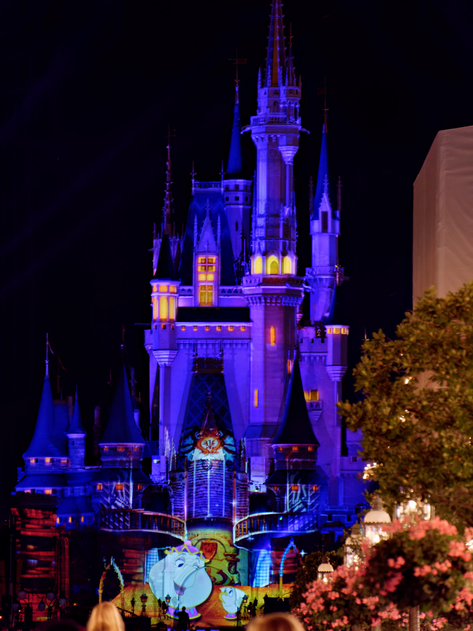FL_Disney_20180426_0088_PS